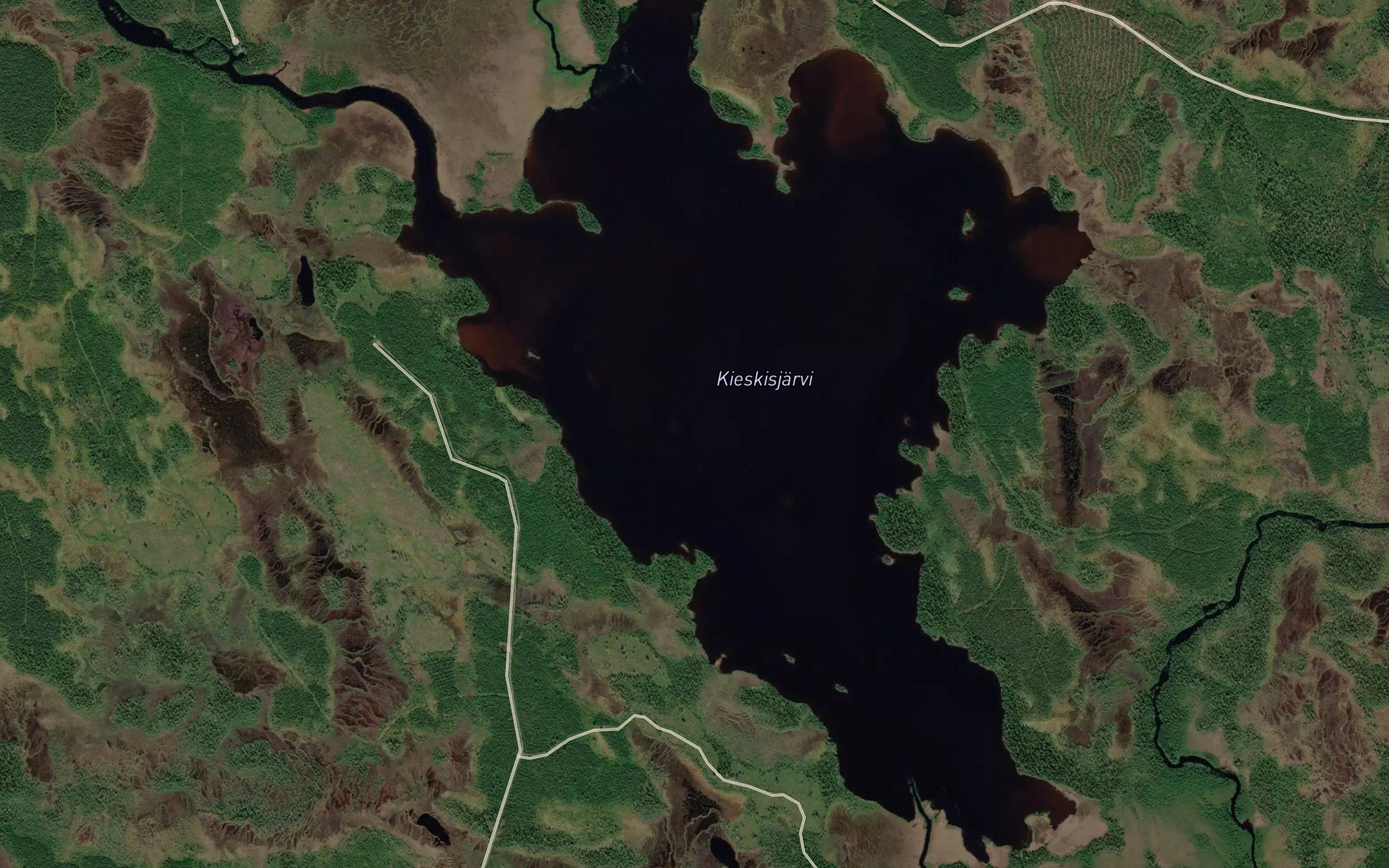Kieskisjarvi