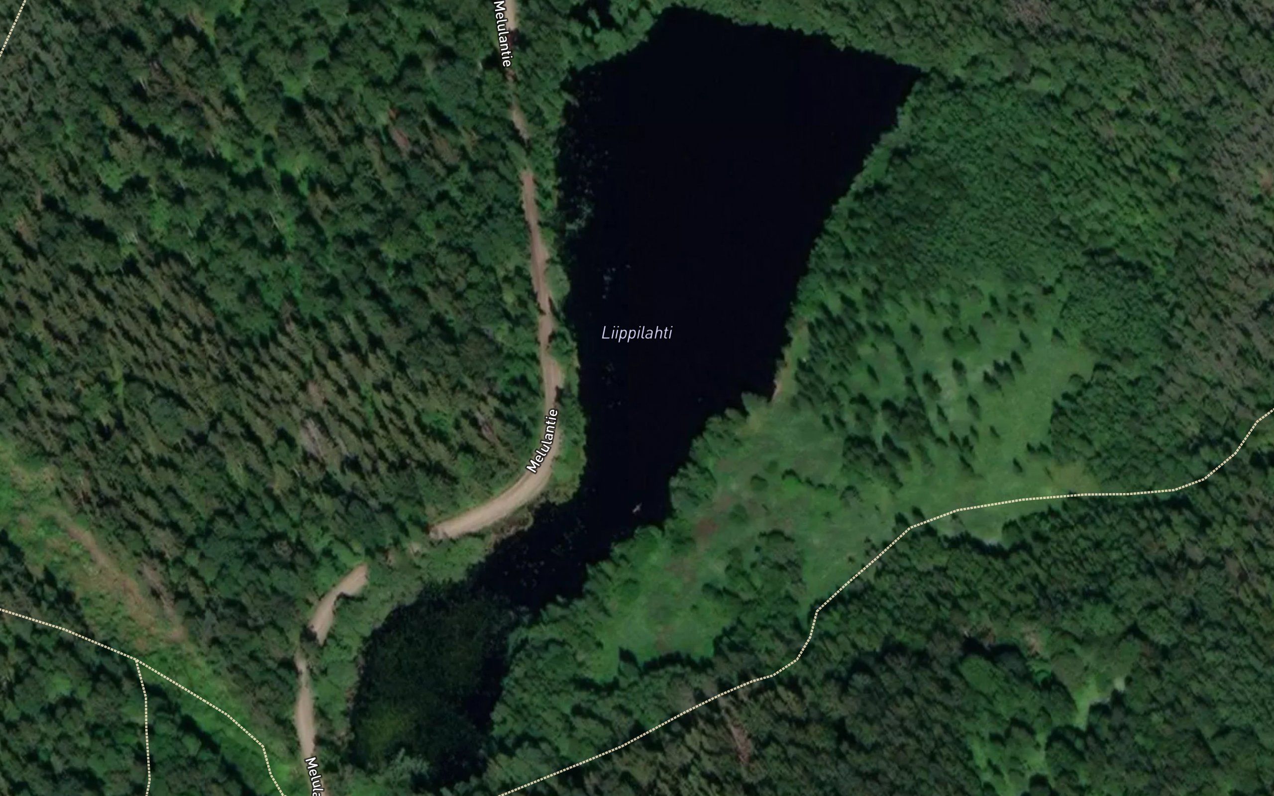 Liippilahti