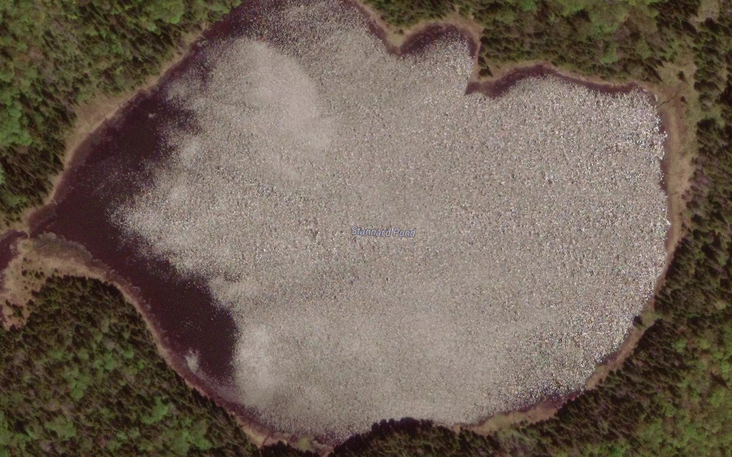 Stannard Pond