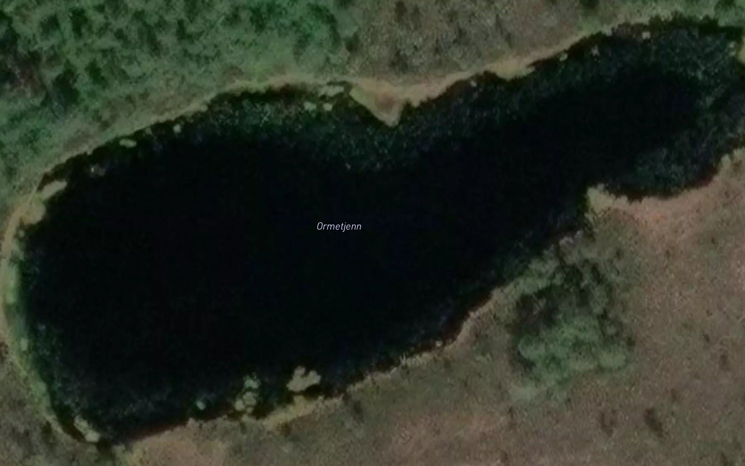 Ormtjenn