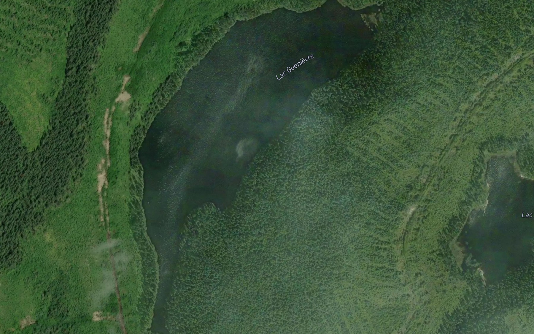 Satellite map of the Lac Guenievre