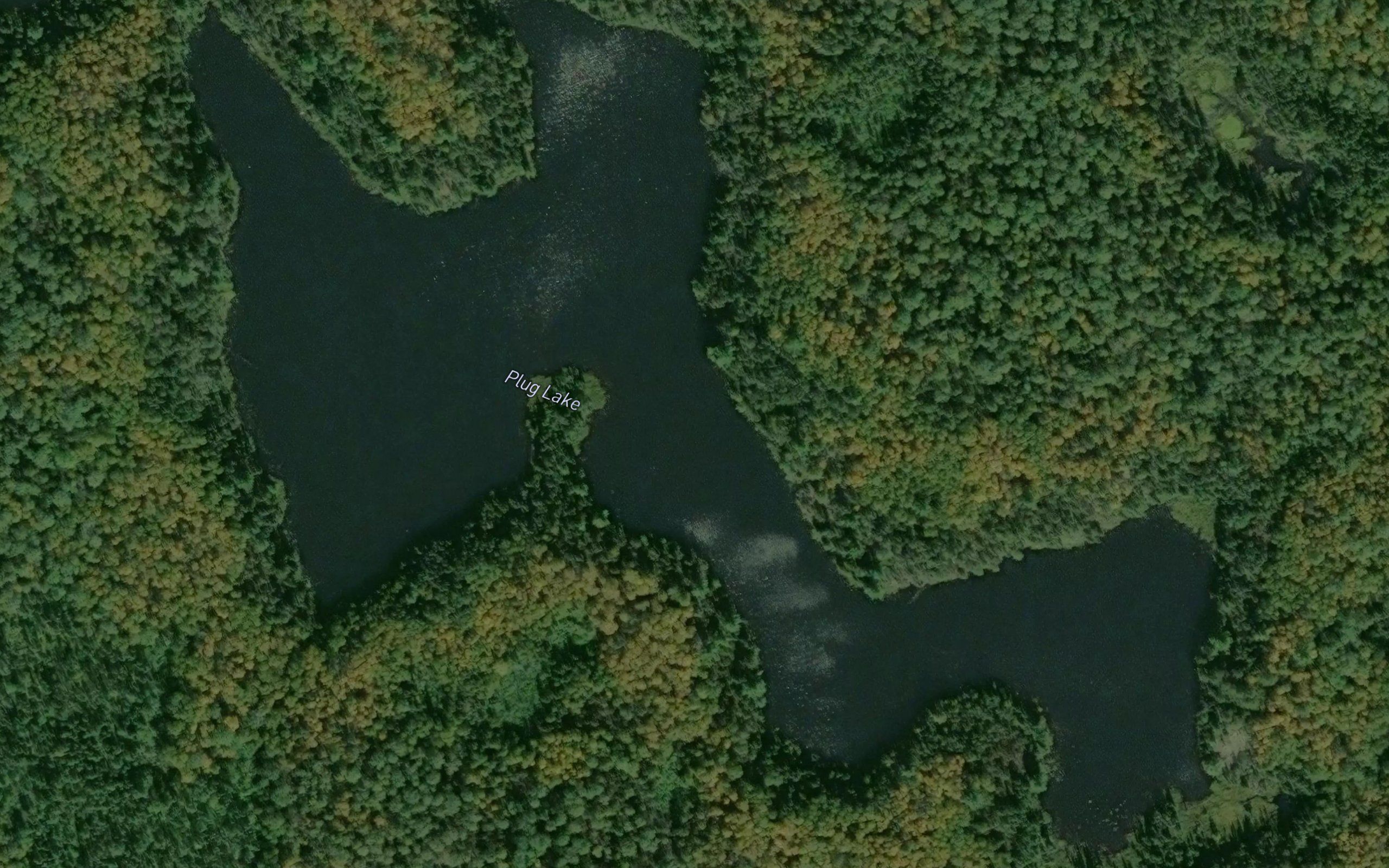 Plug Lake