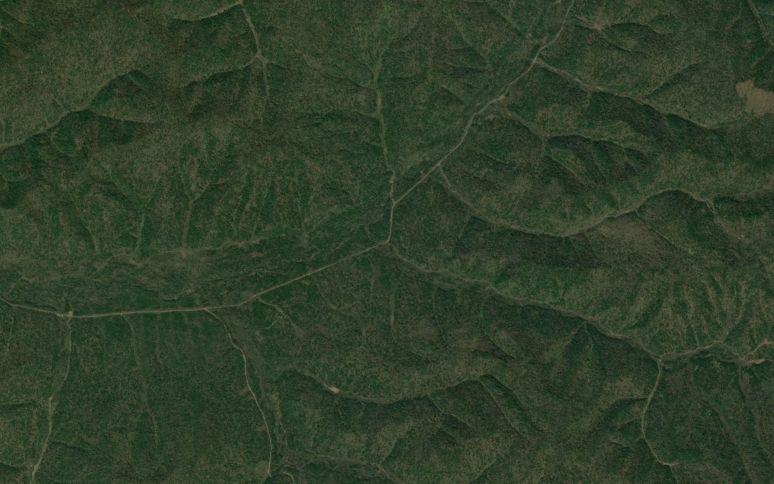 Berezovyy