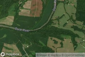 Tucker Branch