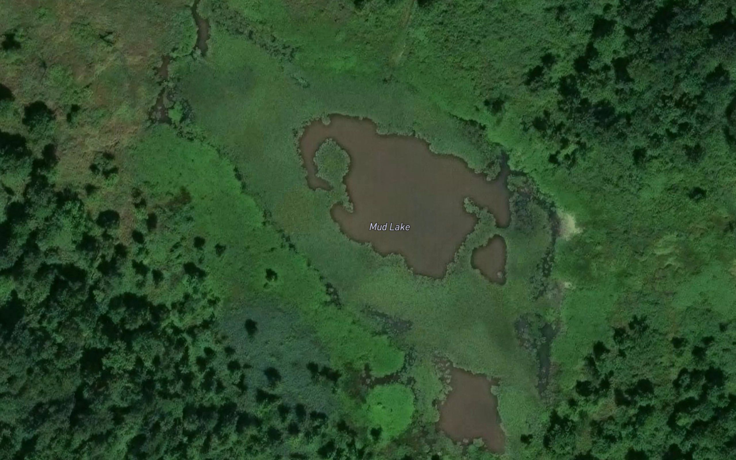 Mud Lake