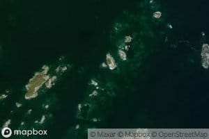 Swain's Green Tickle