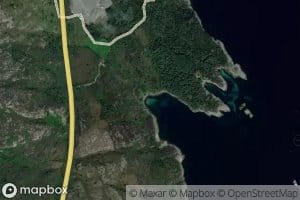 Sandvik