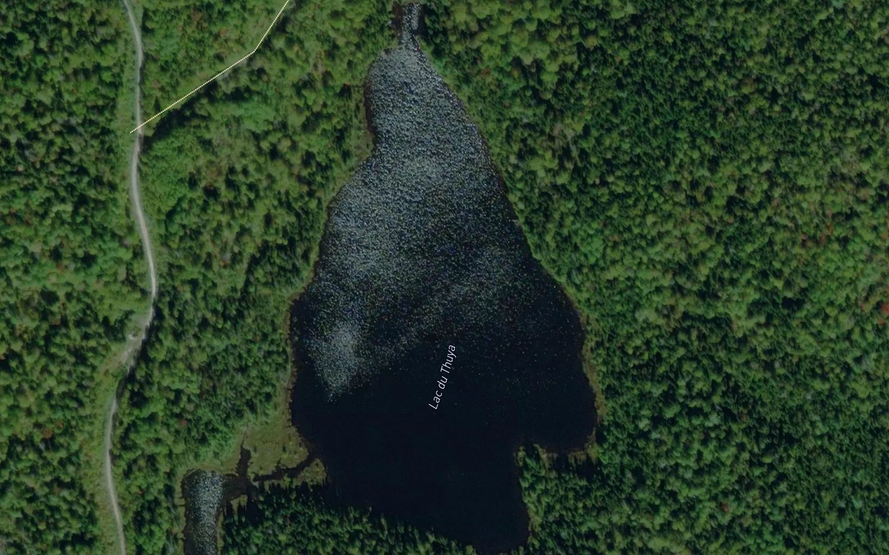 Satellite map of the Lac du Thuya