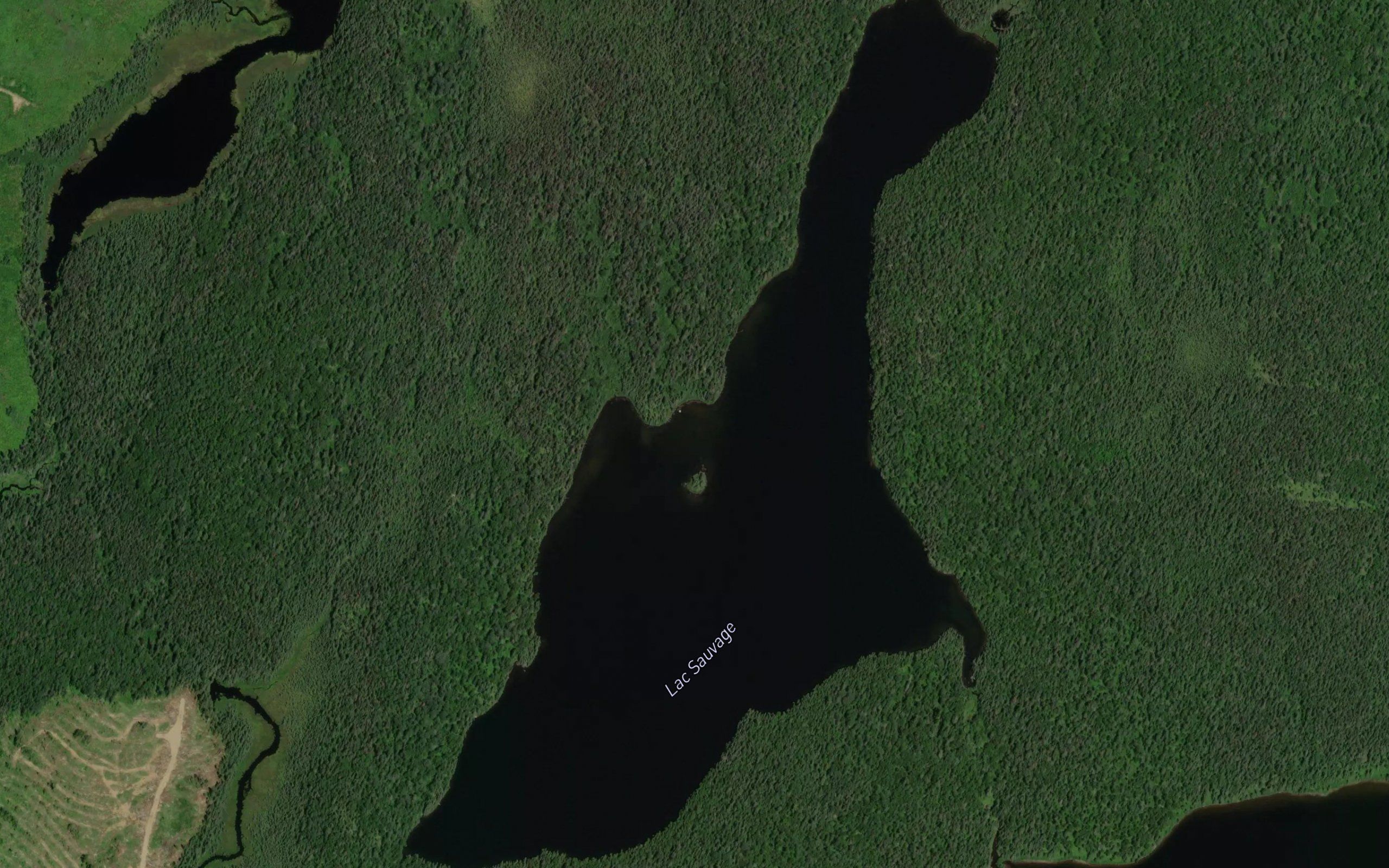 Lac Sauvage