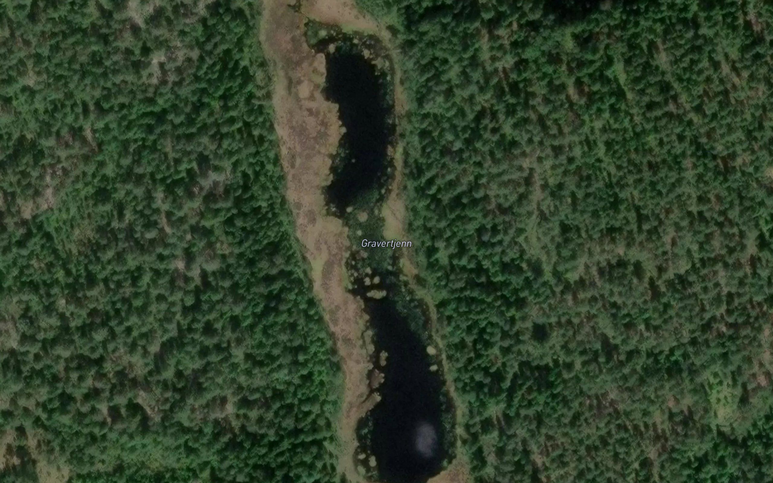 Gravertjern