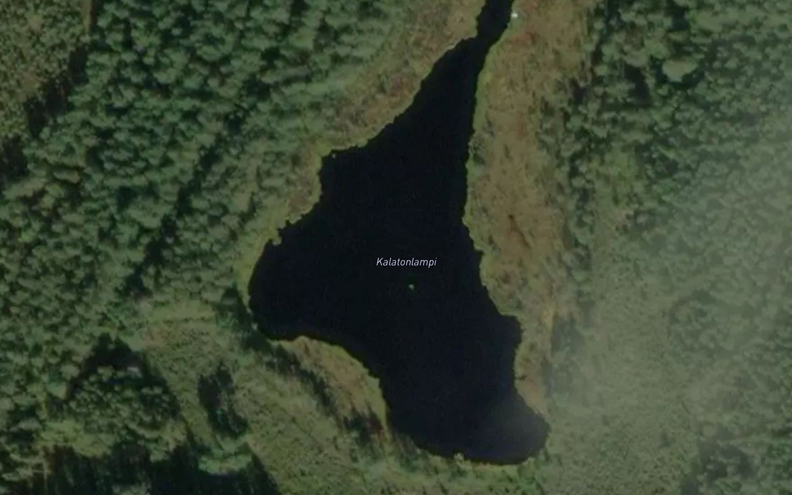 Kalatonlampi