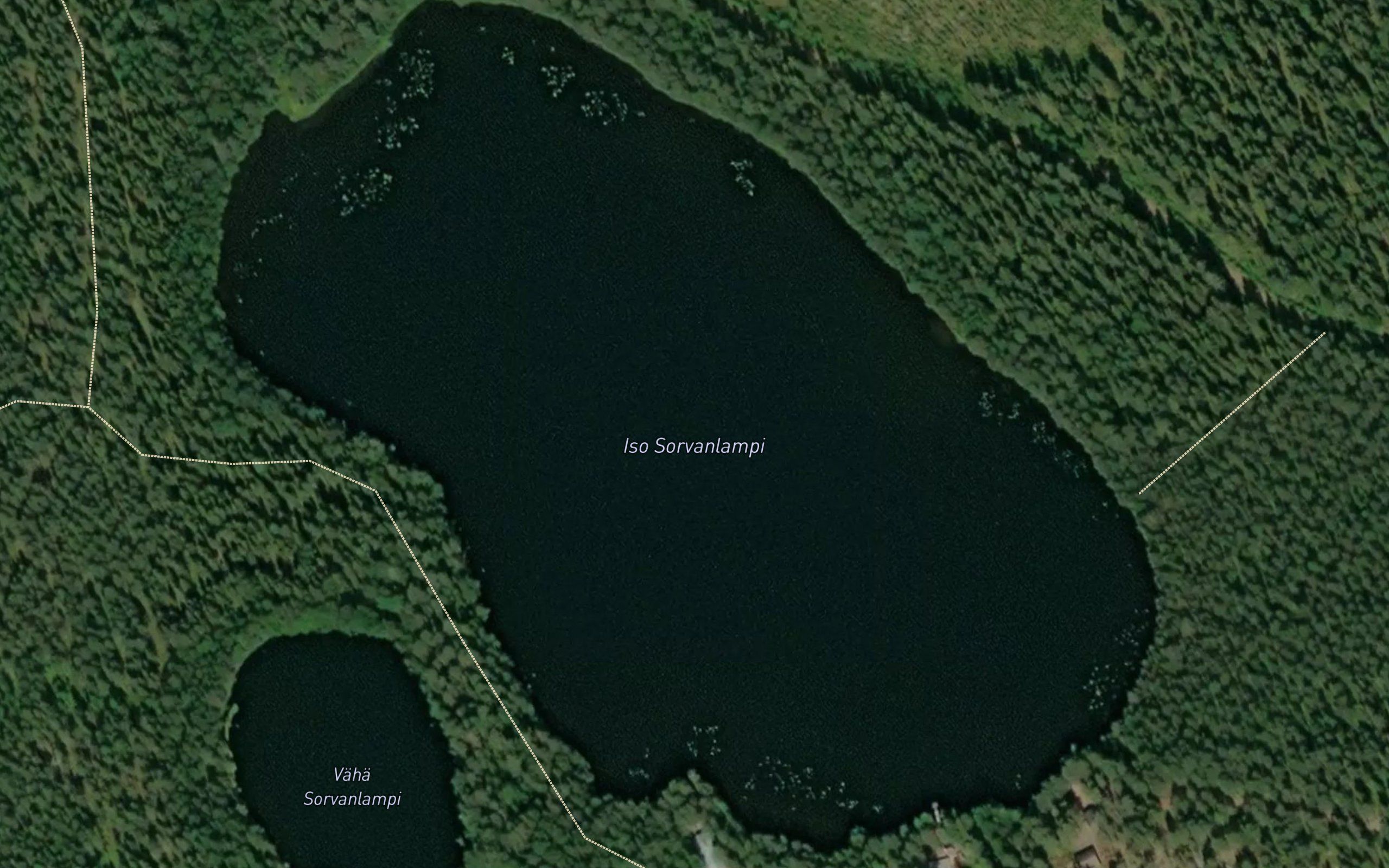 Iso Sorvanlampi
