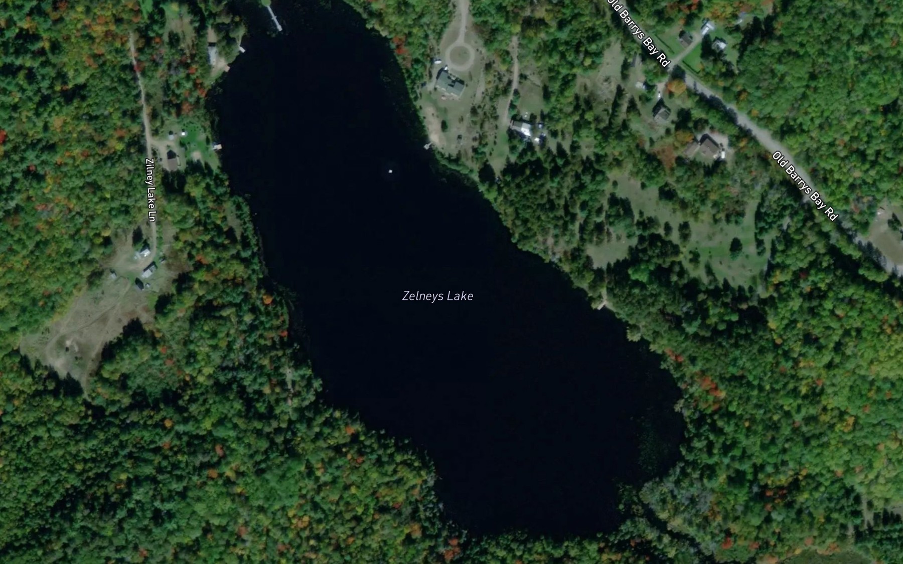 Satellite map of the Zelneys Lake