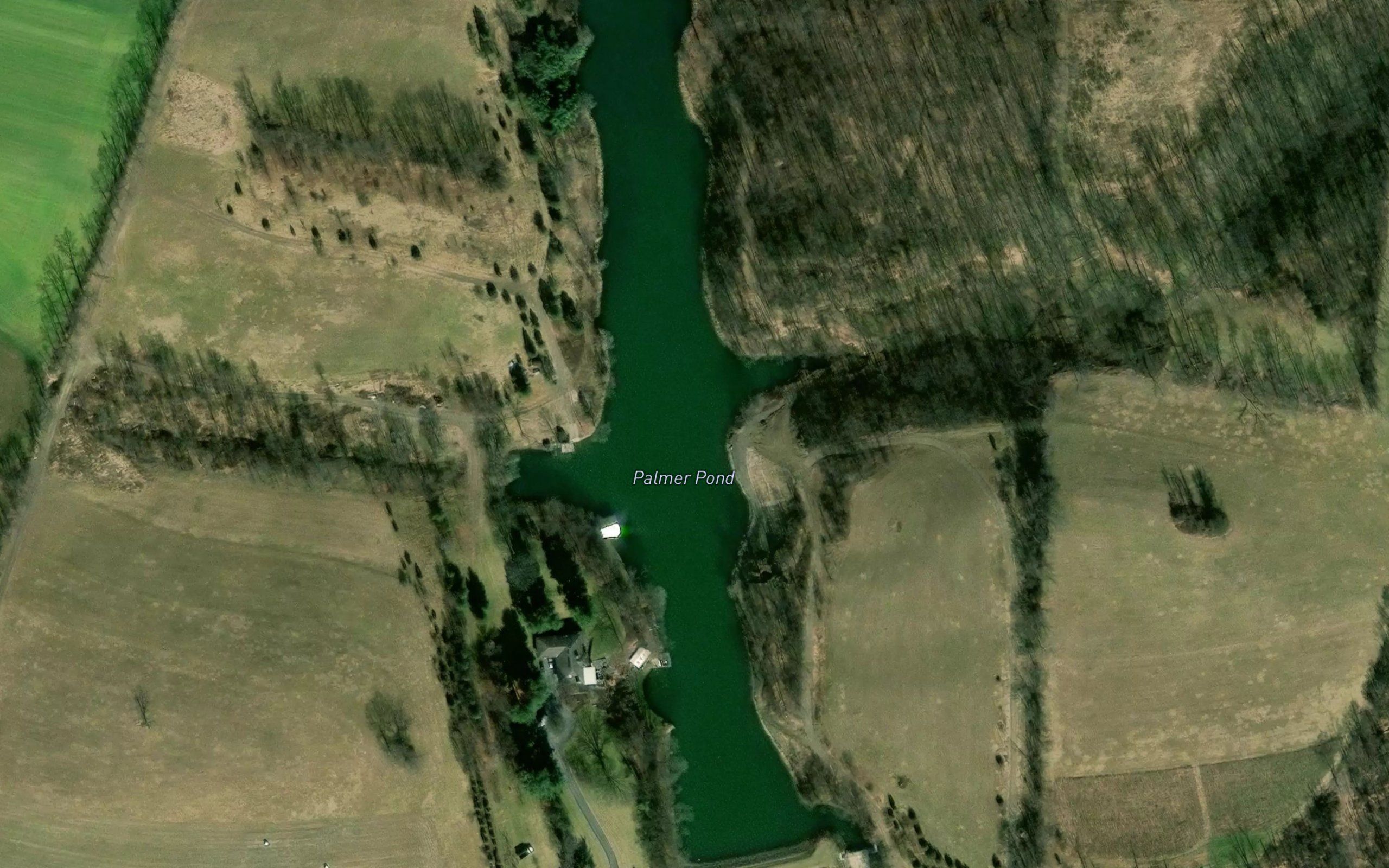 Palmer Pond