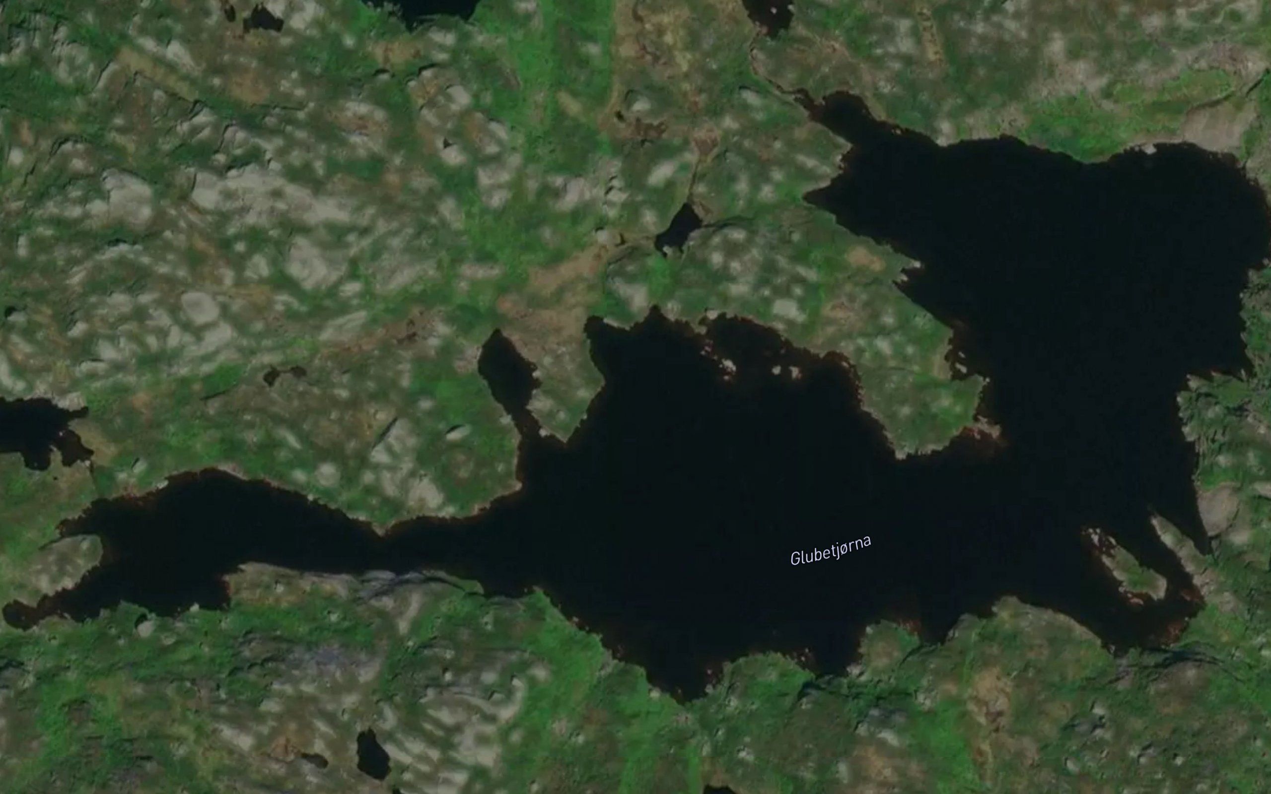 Glubetjorna