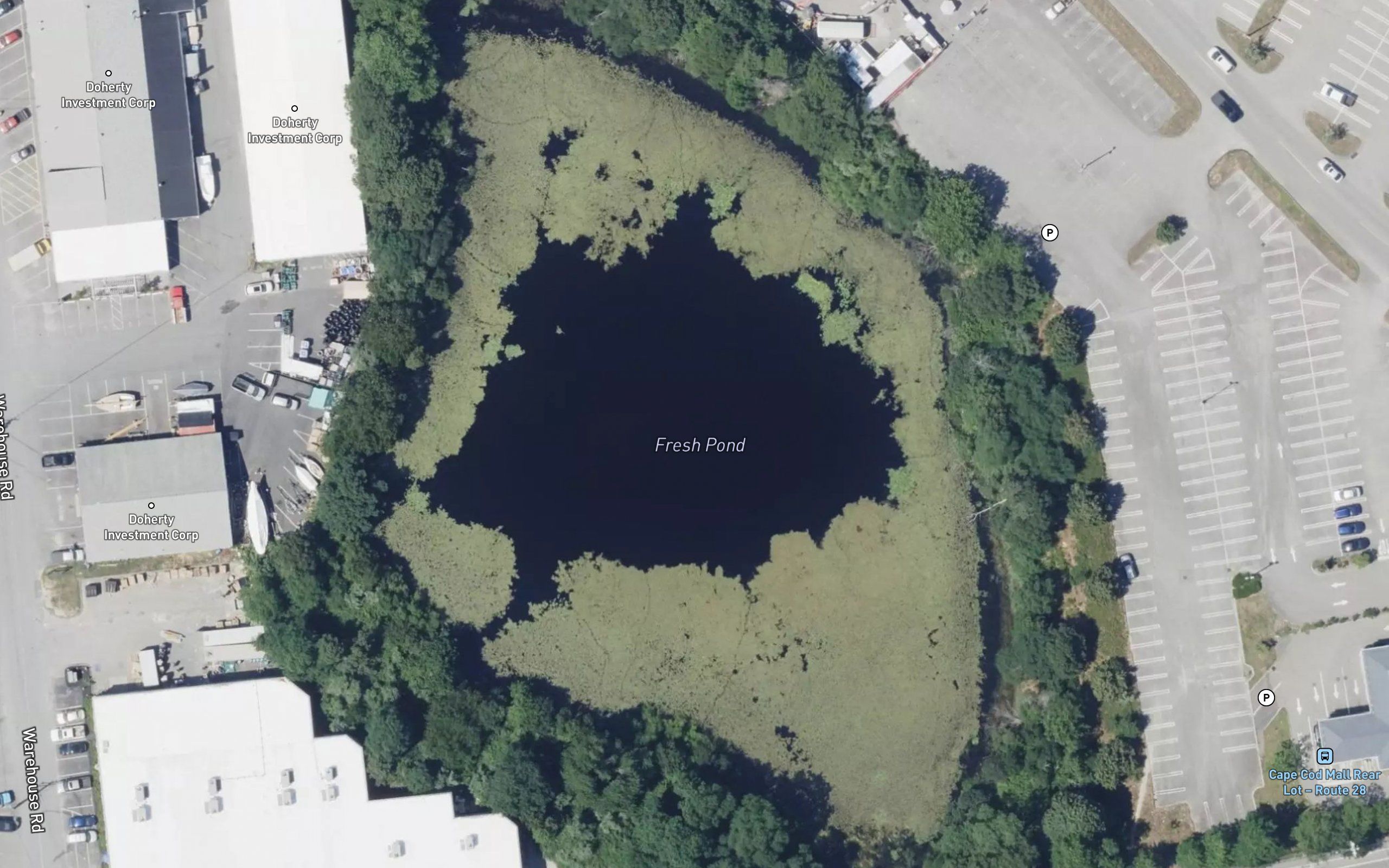 Fresh Pond