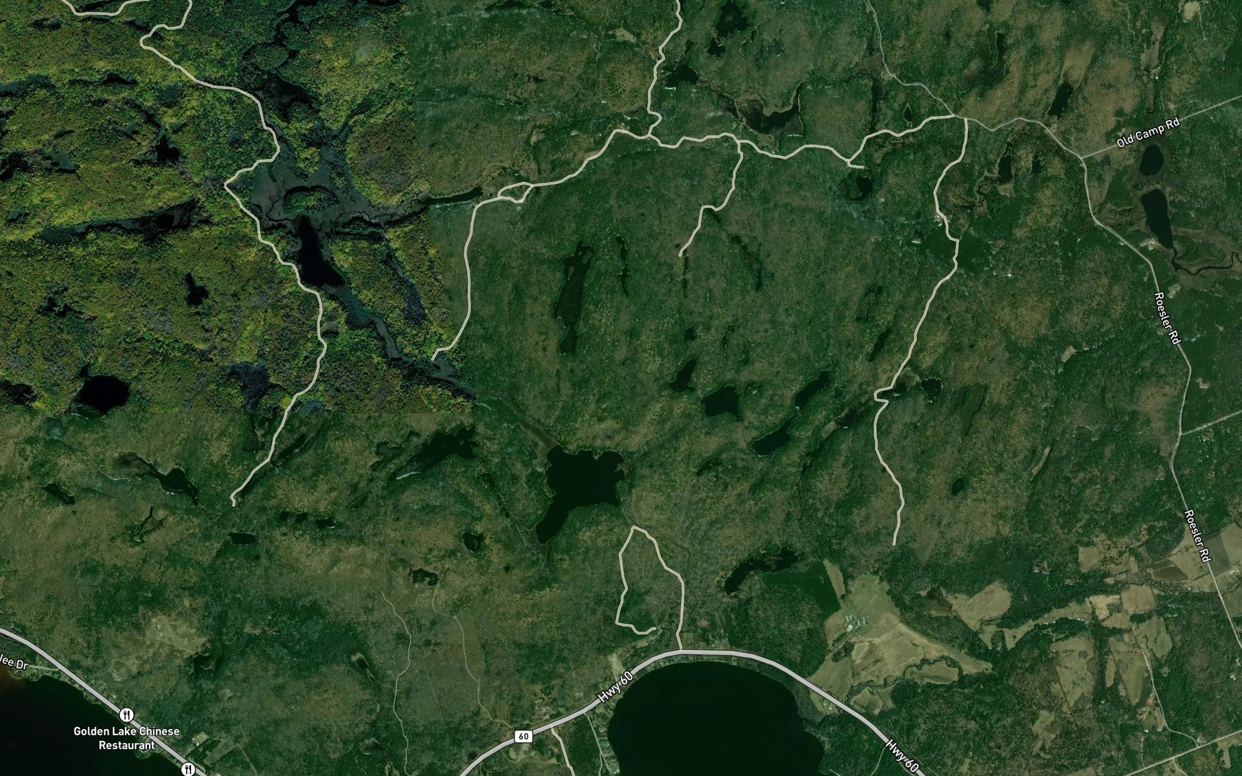 Satellite map of the Michigan Lakes