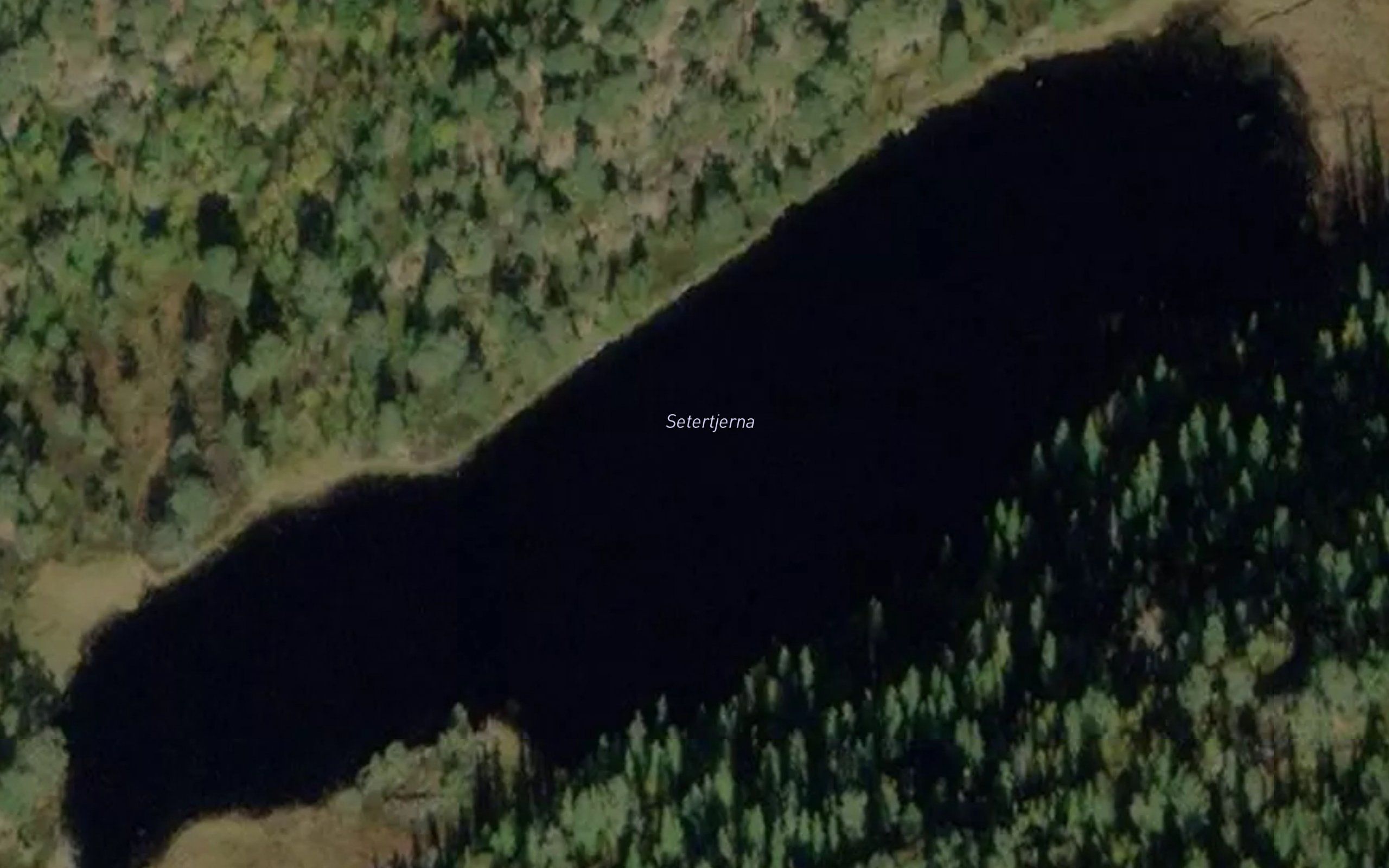 Setertjerna