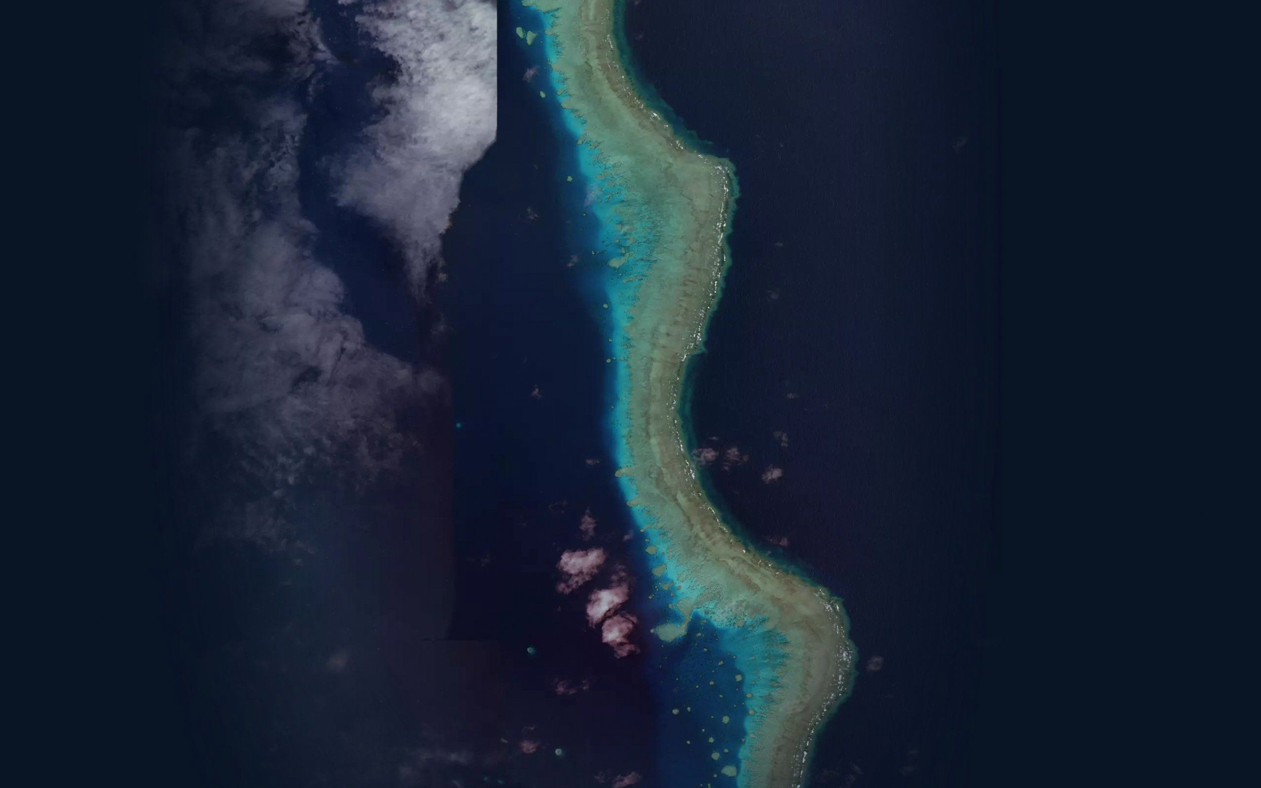 Ribbon Number Seven Reef