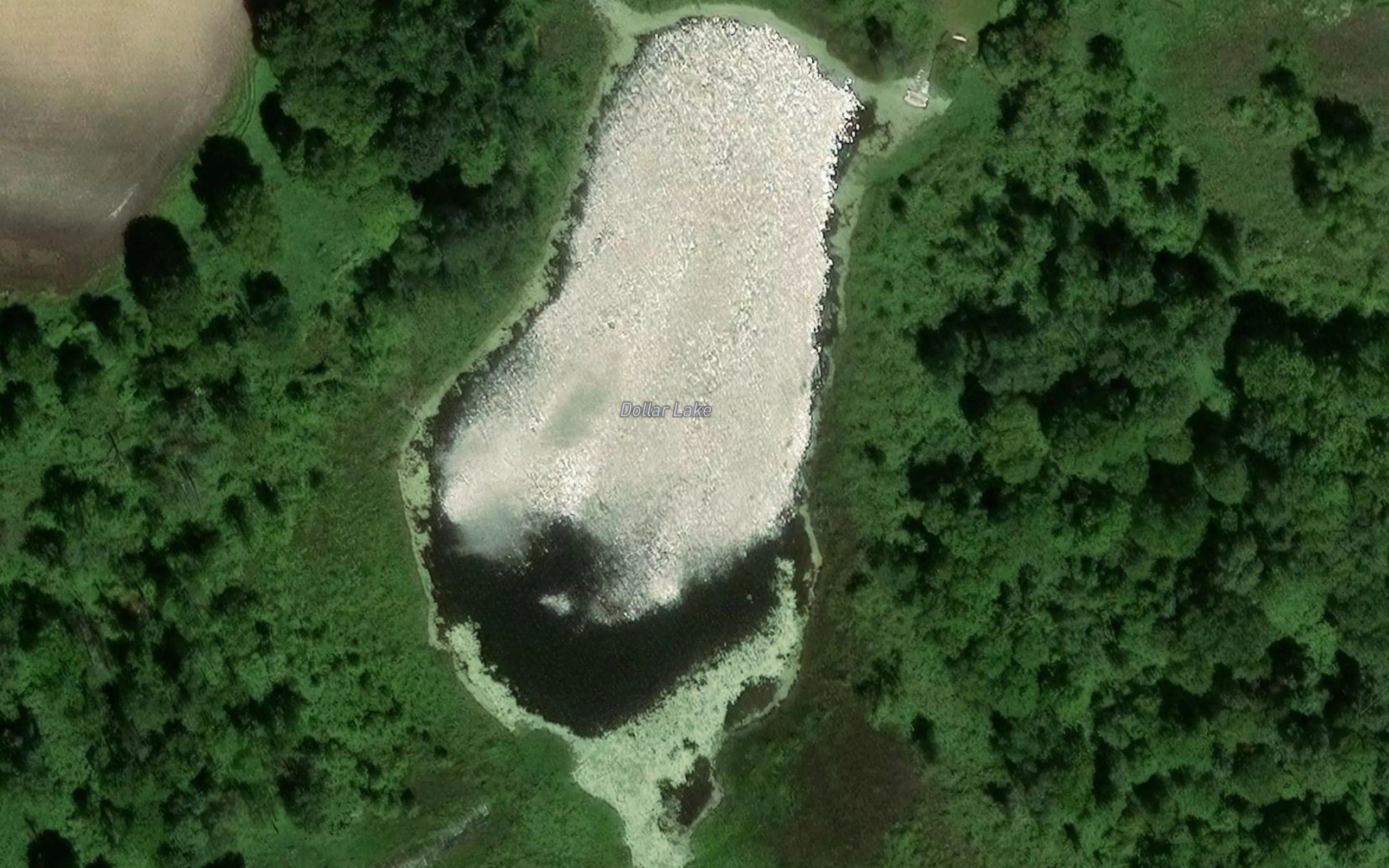 Dollar Lake