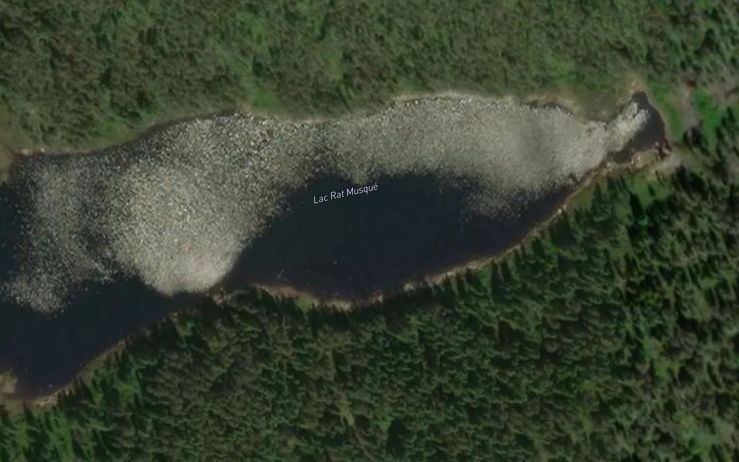 Lac Rat Musque