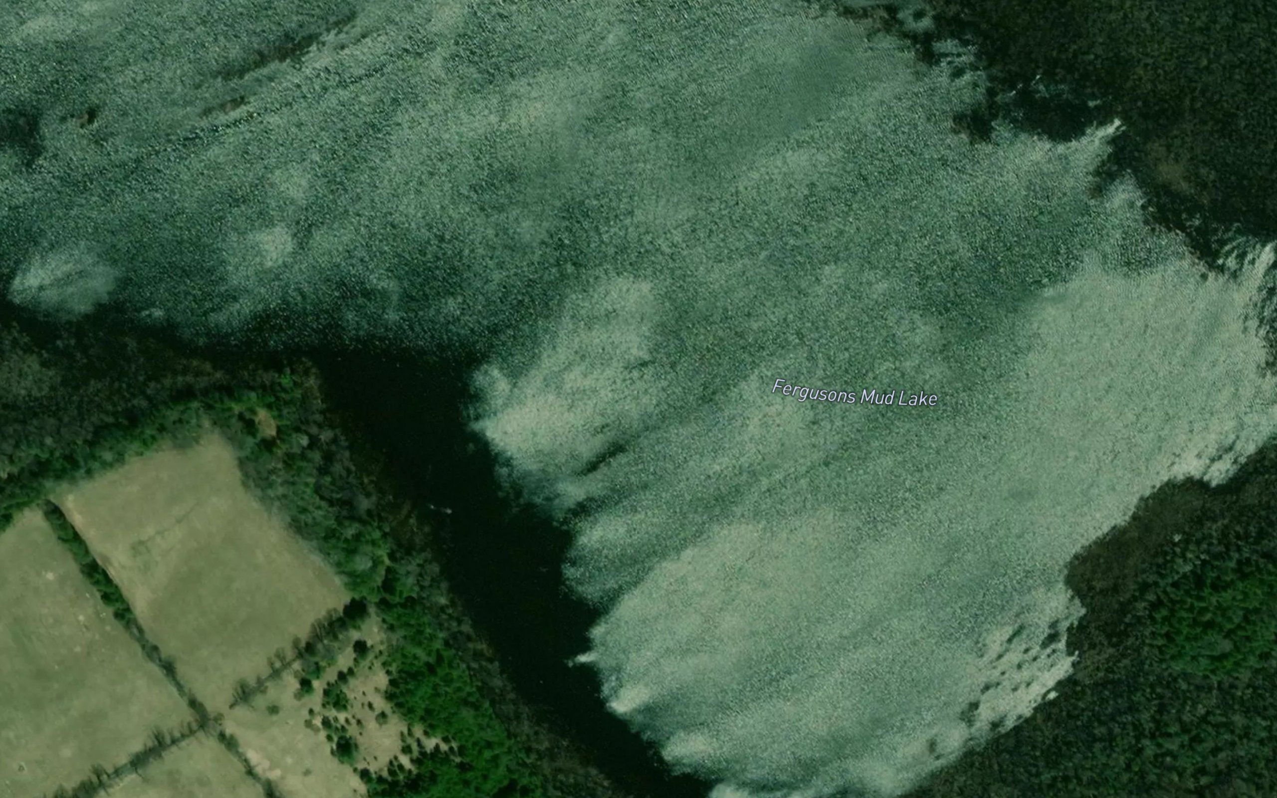 Fergusons Mud Lake