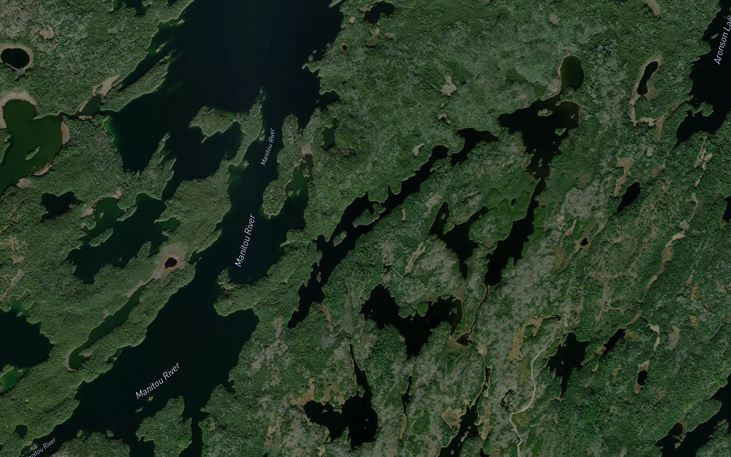 Eyelid Lake