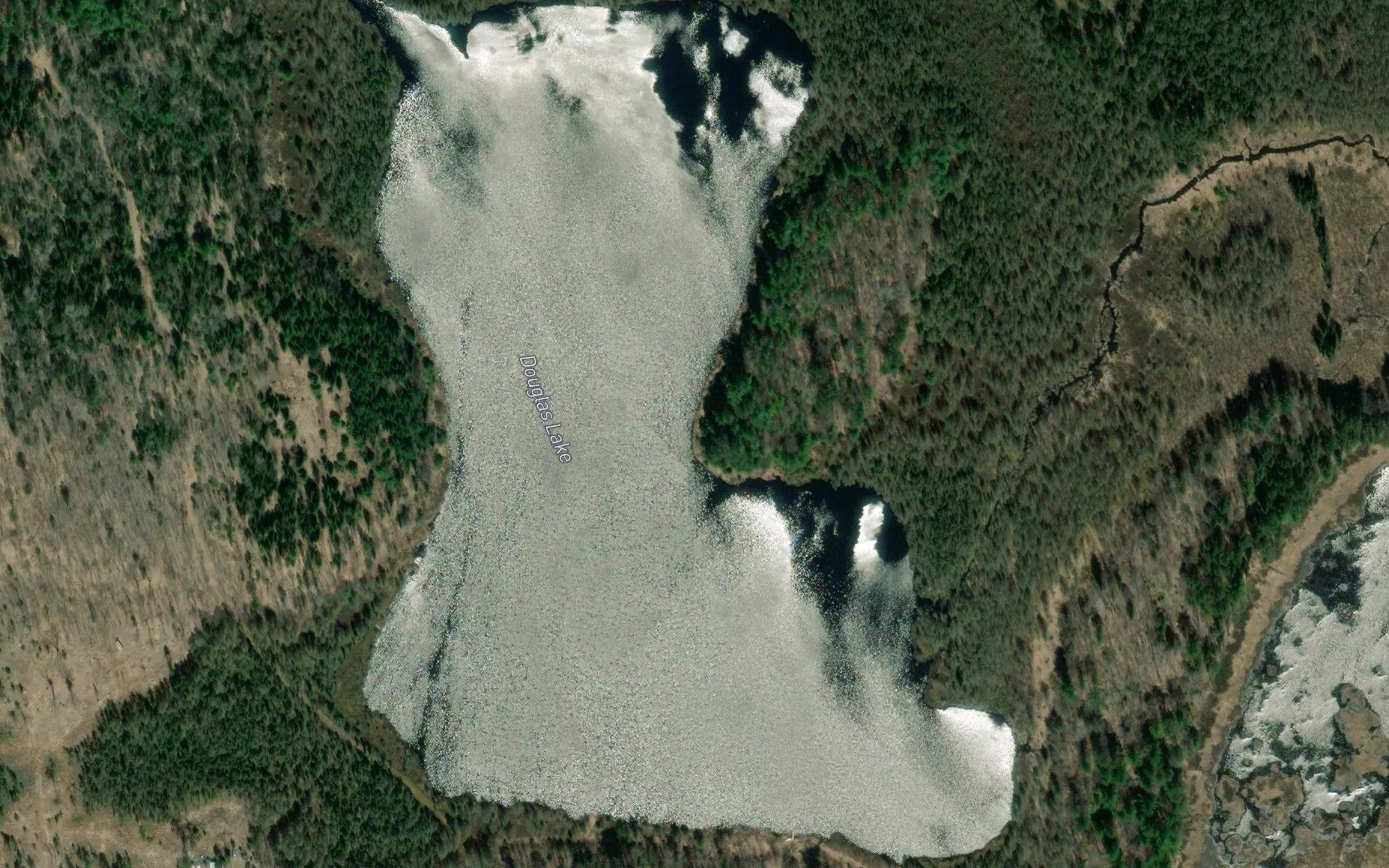 Douglas Lake