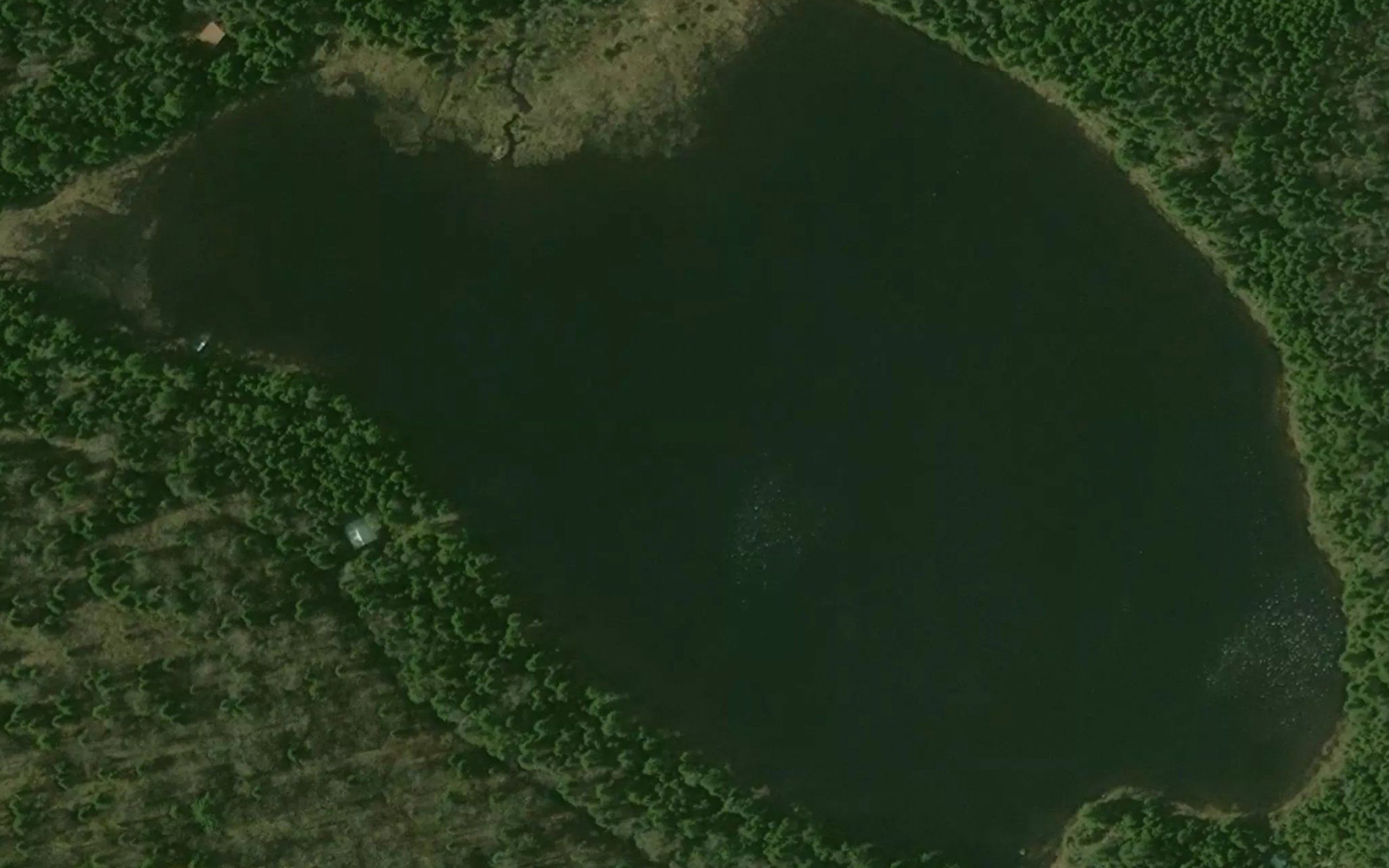 Unknown Pond