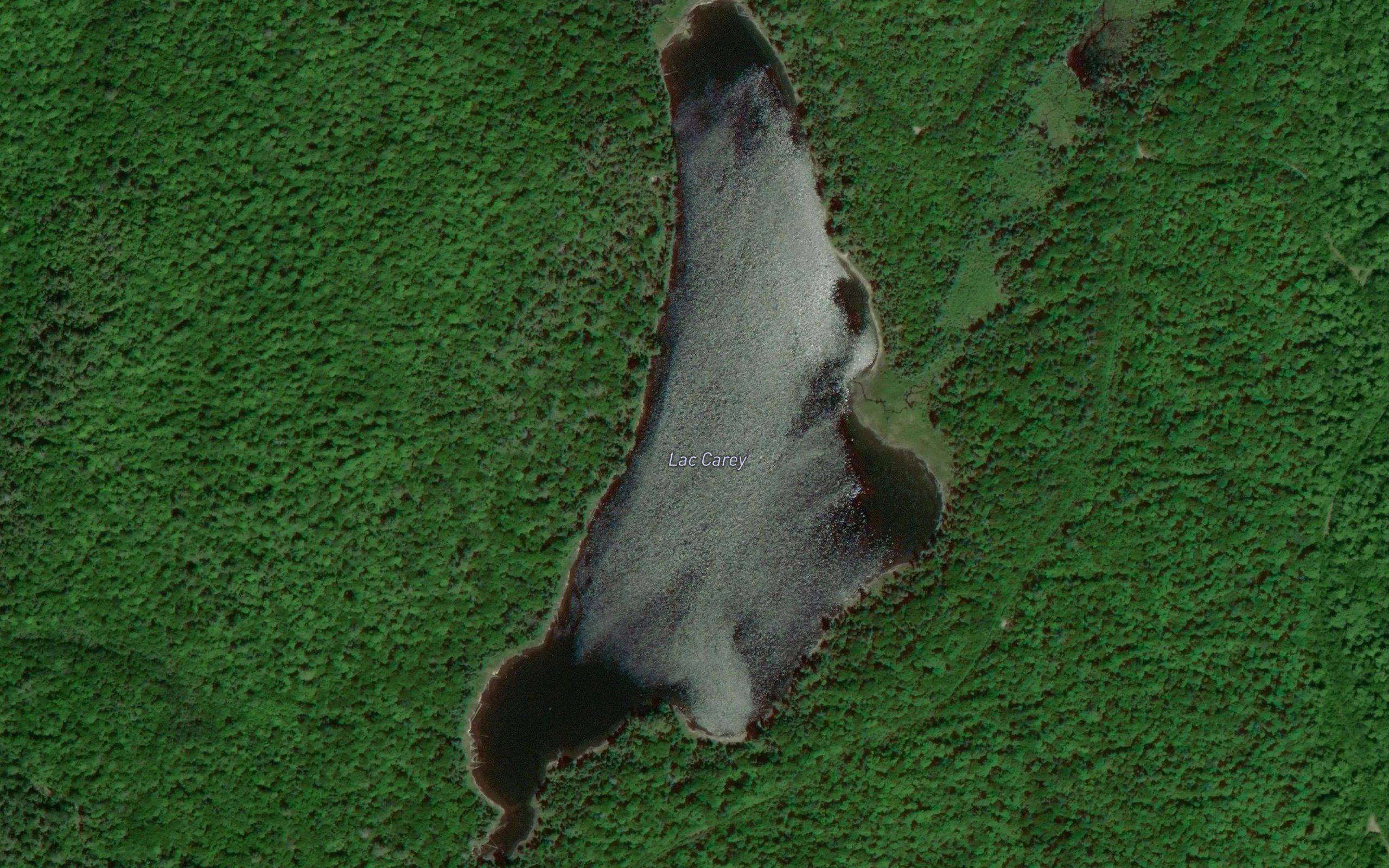 Lac Carey