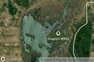 Rice Lake