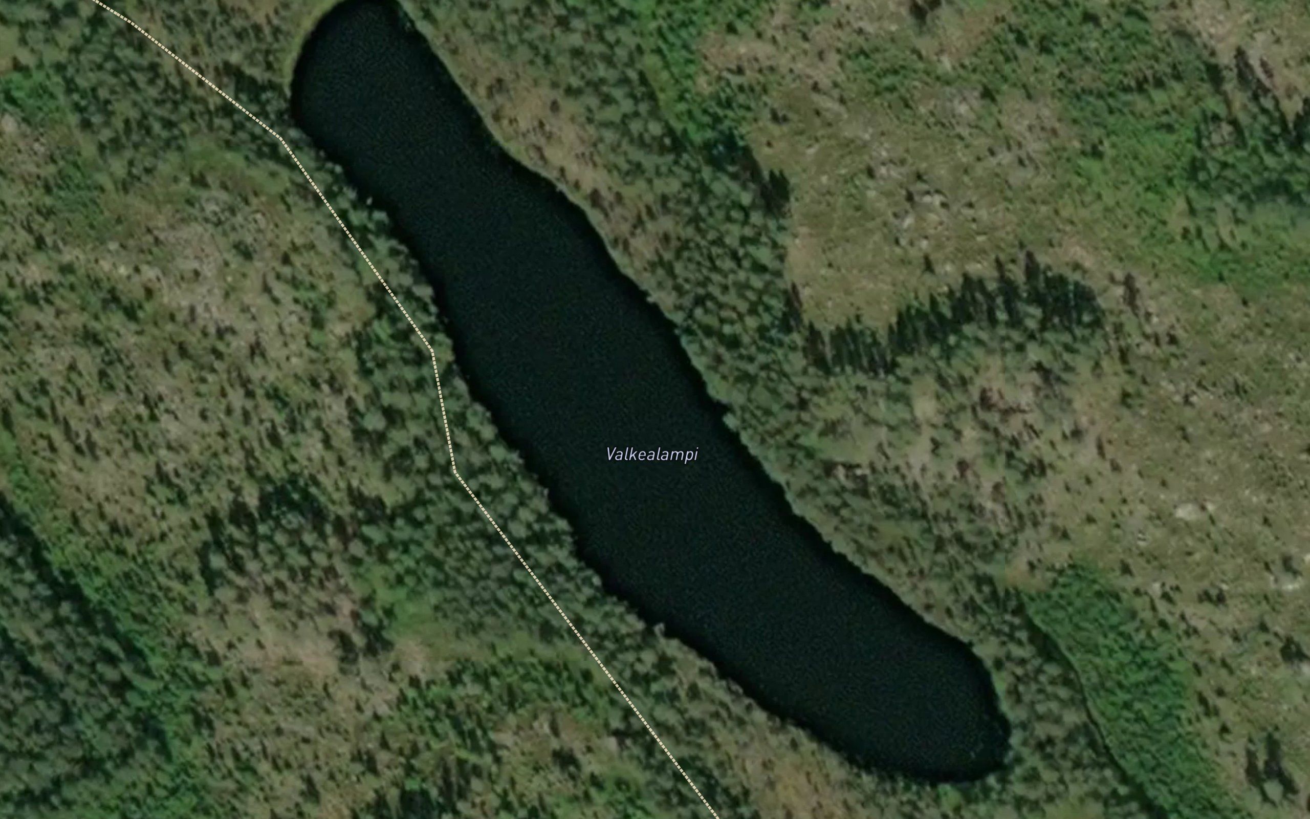 Valkealampi