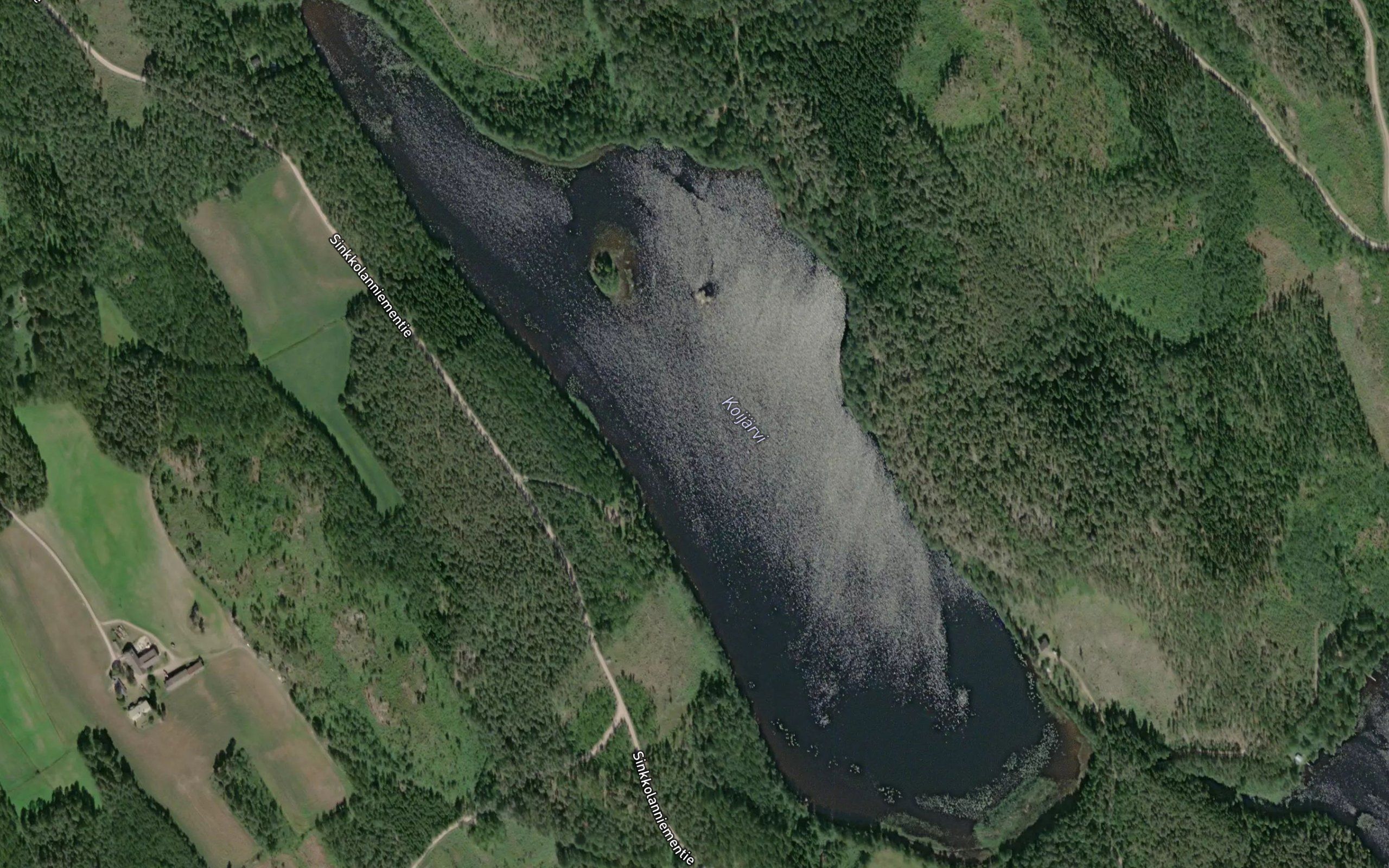 Koijarvi