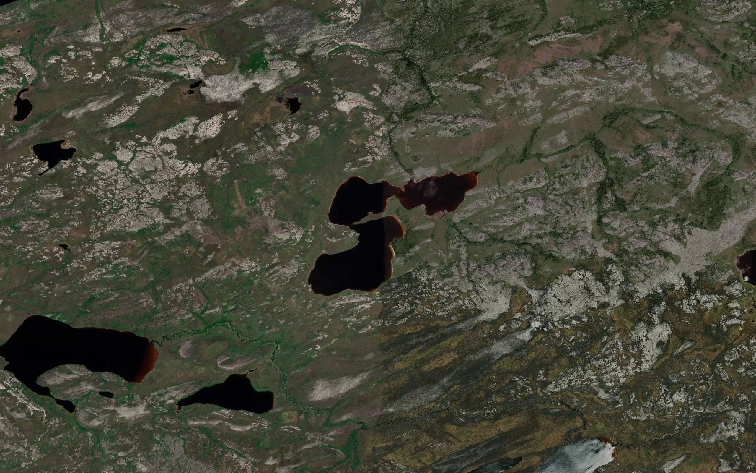Lac Kaupasich