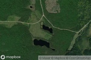 Lac des Guepes Sociales