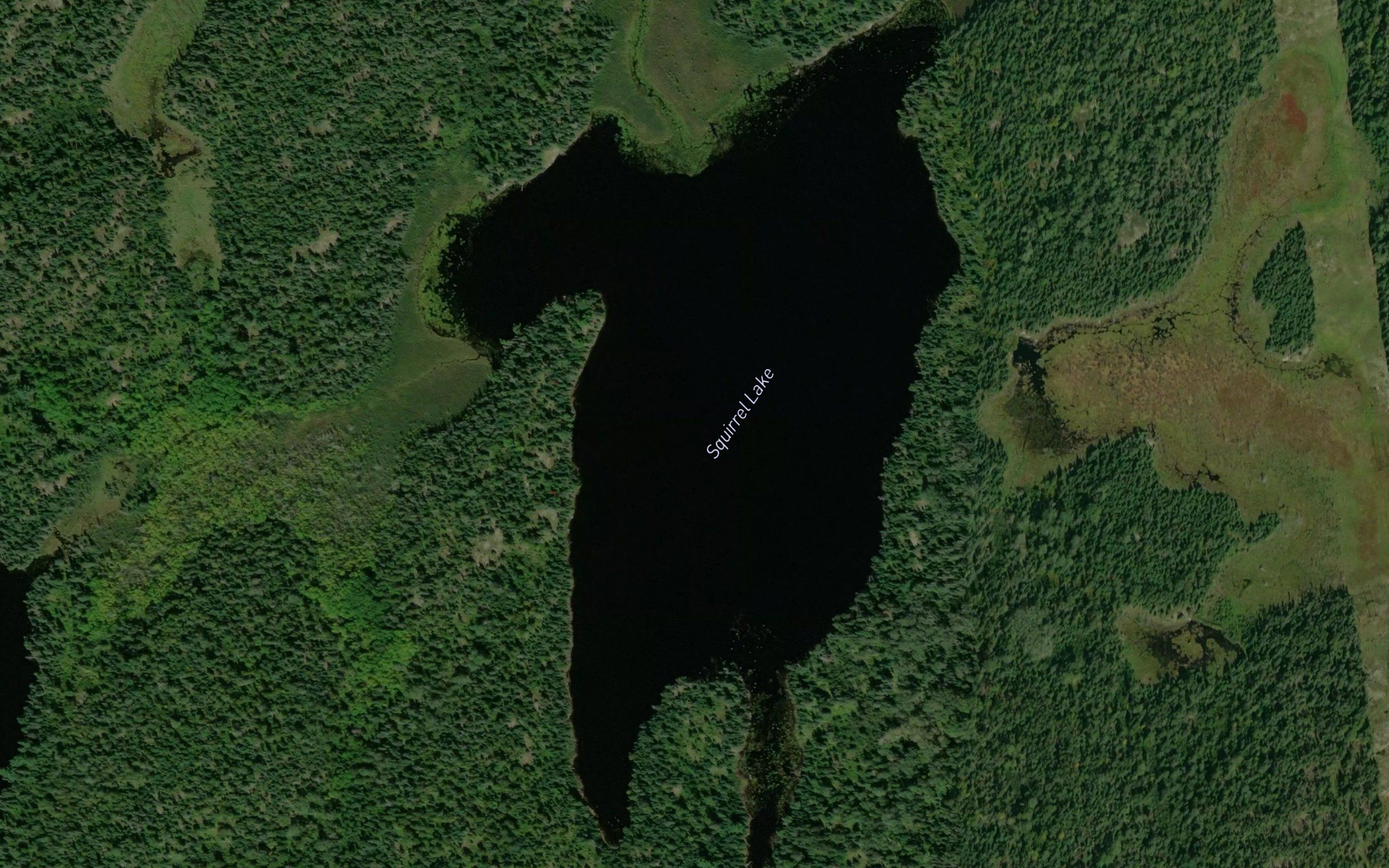 Squirrel Lake