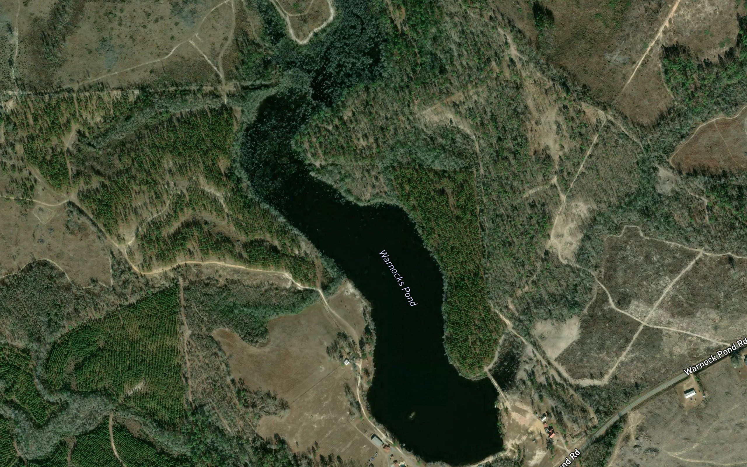 Warnock Pond