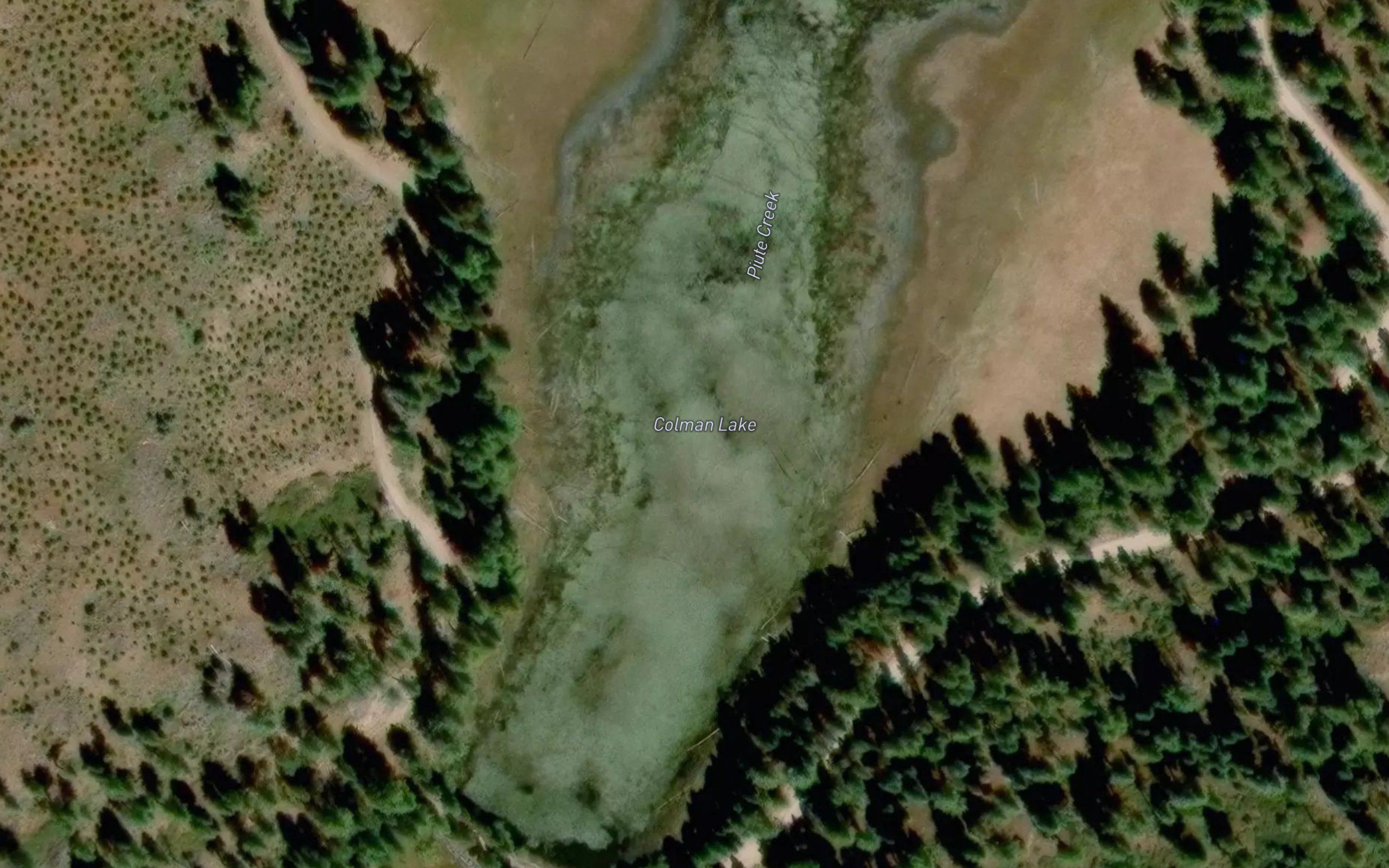 Colman Lake