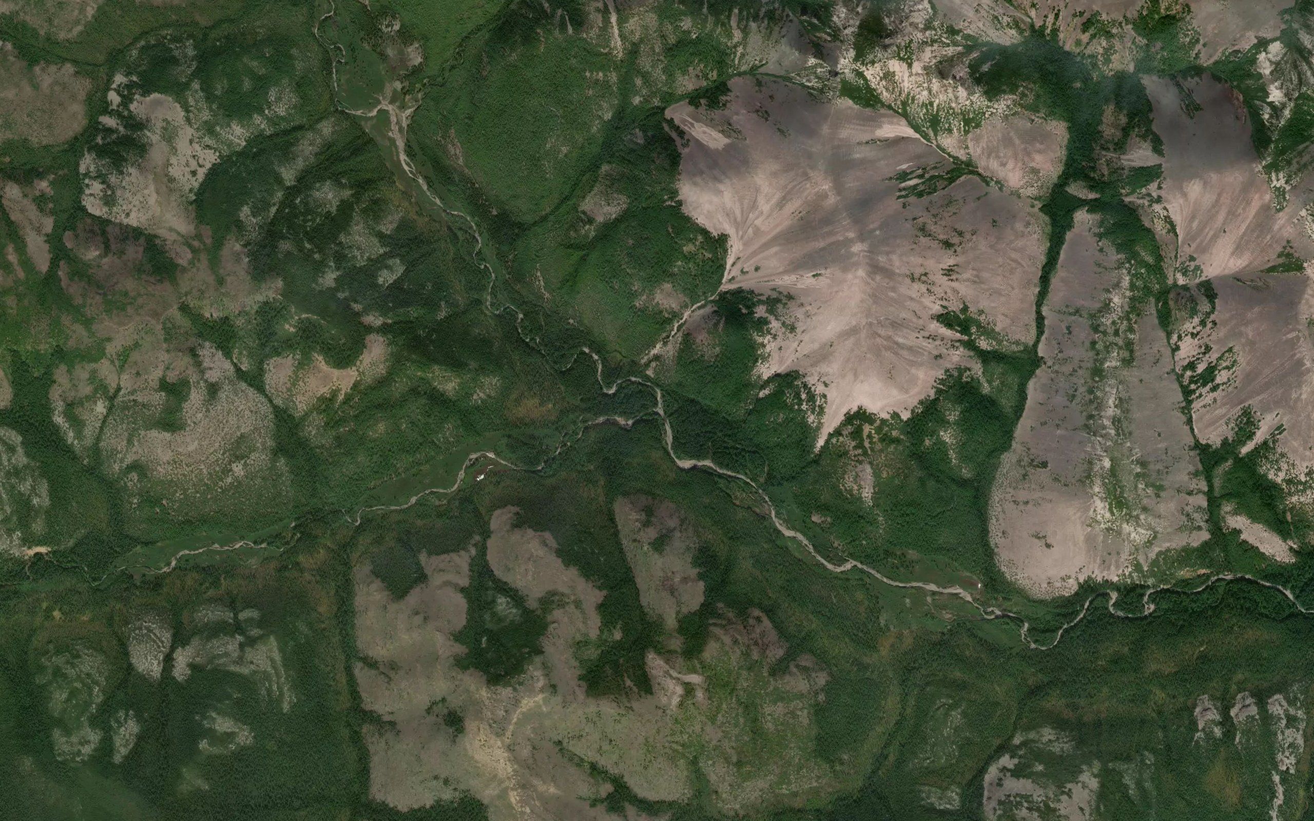 Snezhnyy