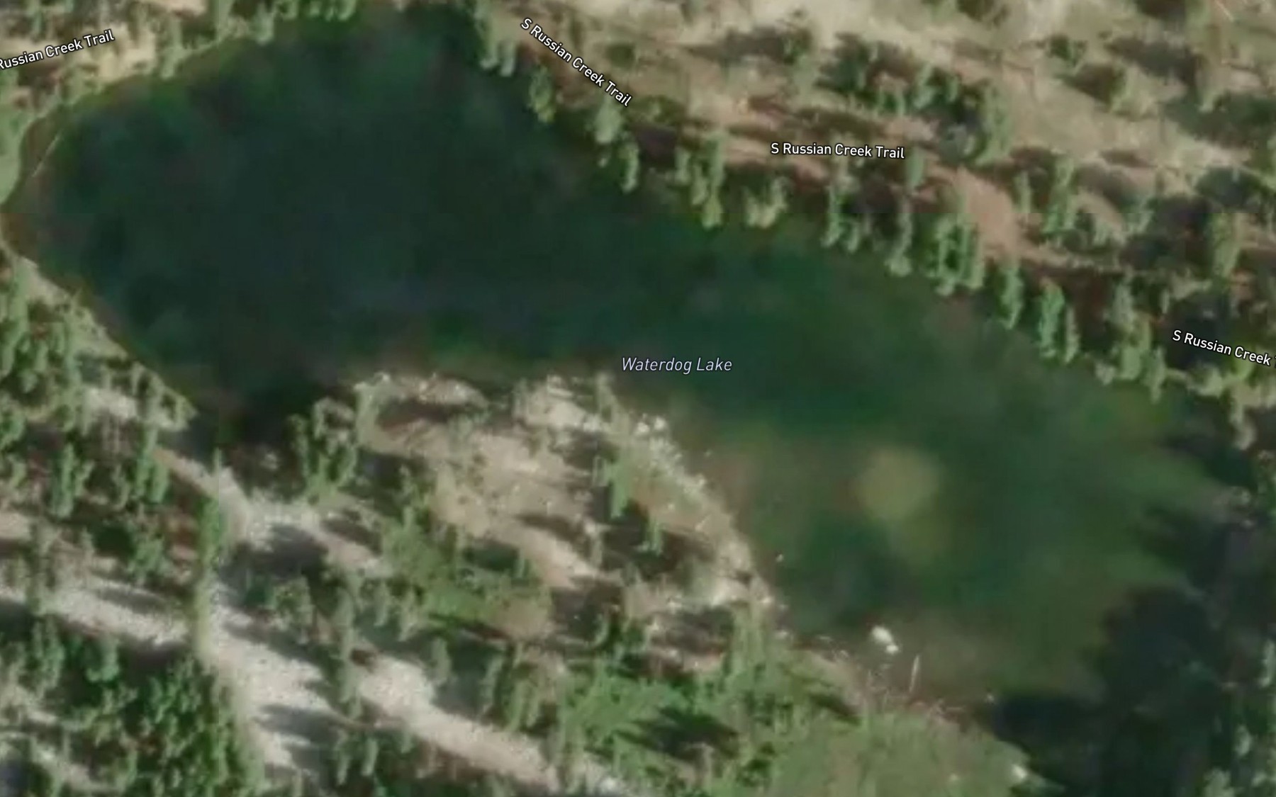 Satellite map of the Waterdog Lake