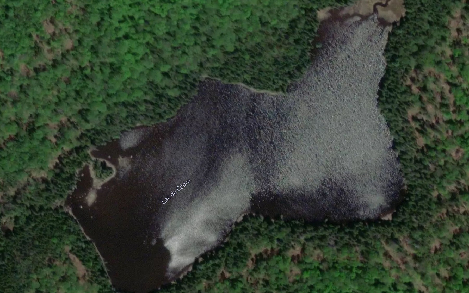 Satellite map of the Lac du Cedre