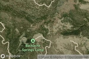 Backache Spring