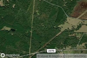 Double Spring Branch