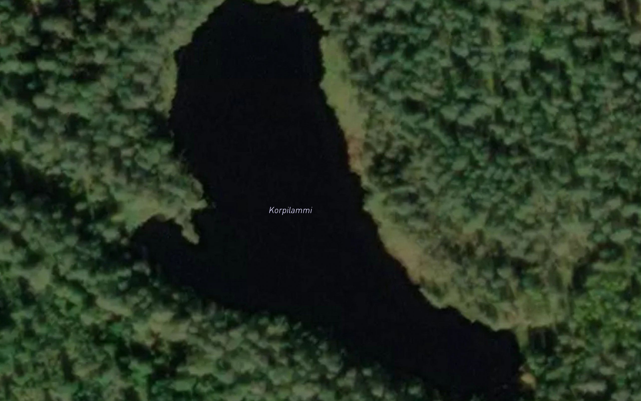 Korpilammi