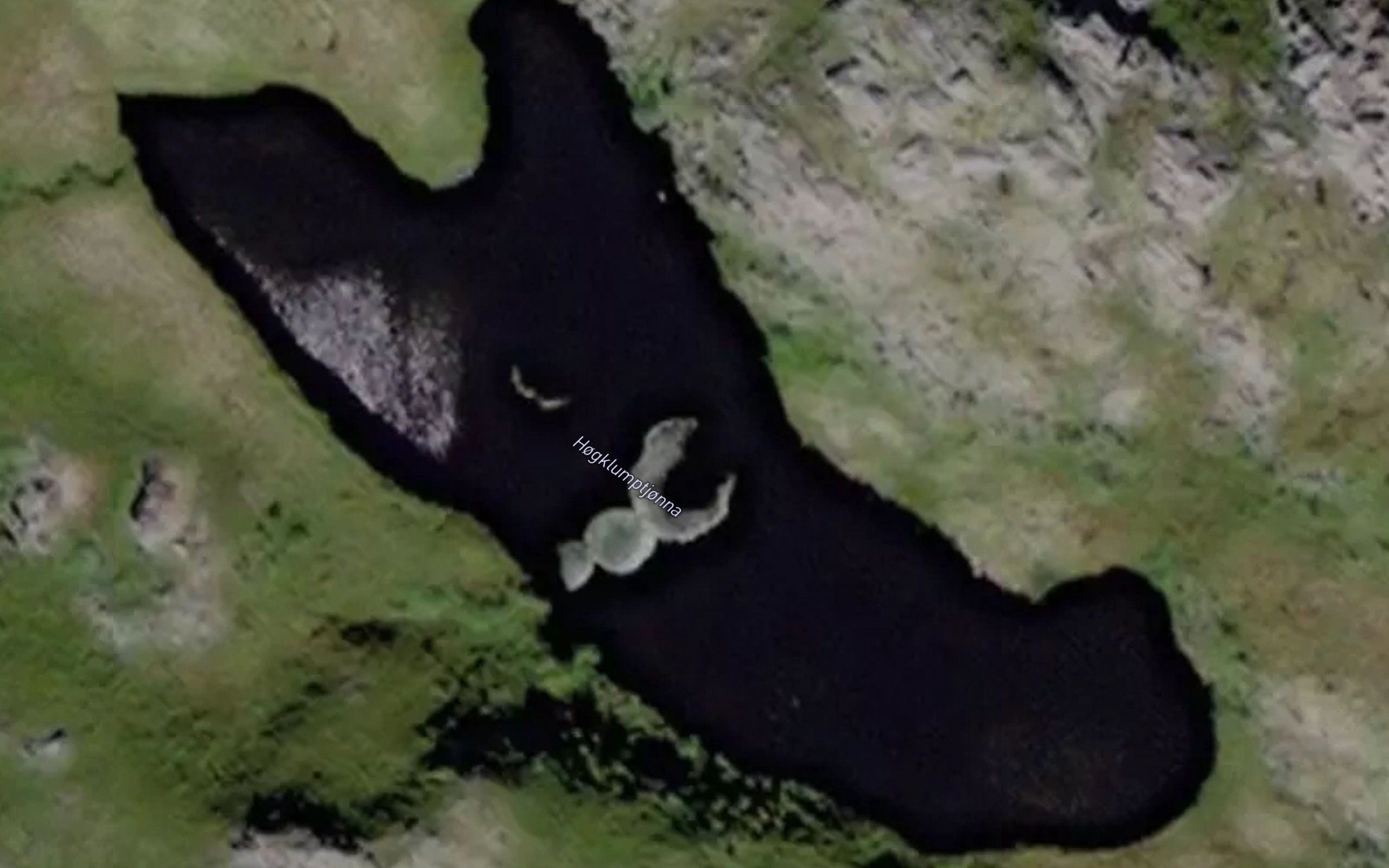 Hogklumptjorna
