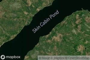 Skin Cabin Pond