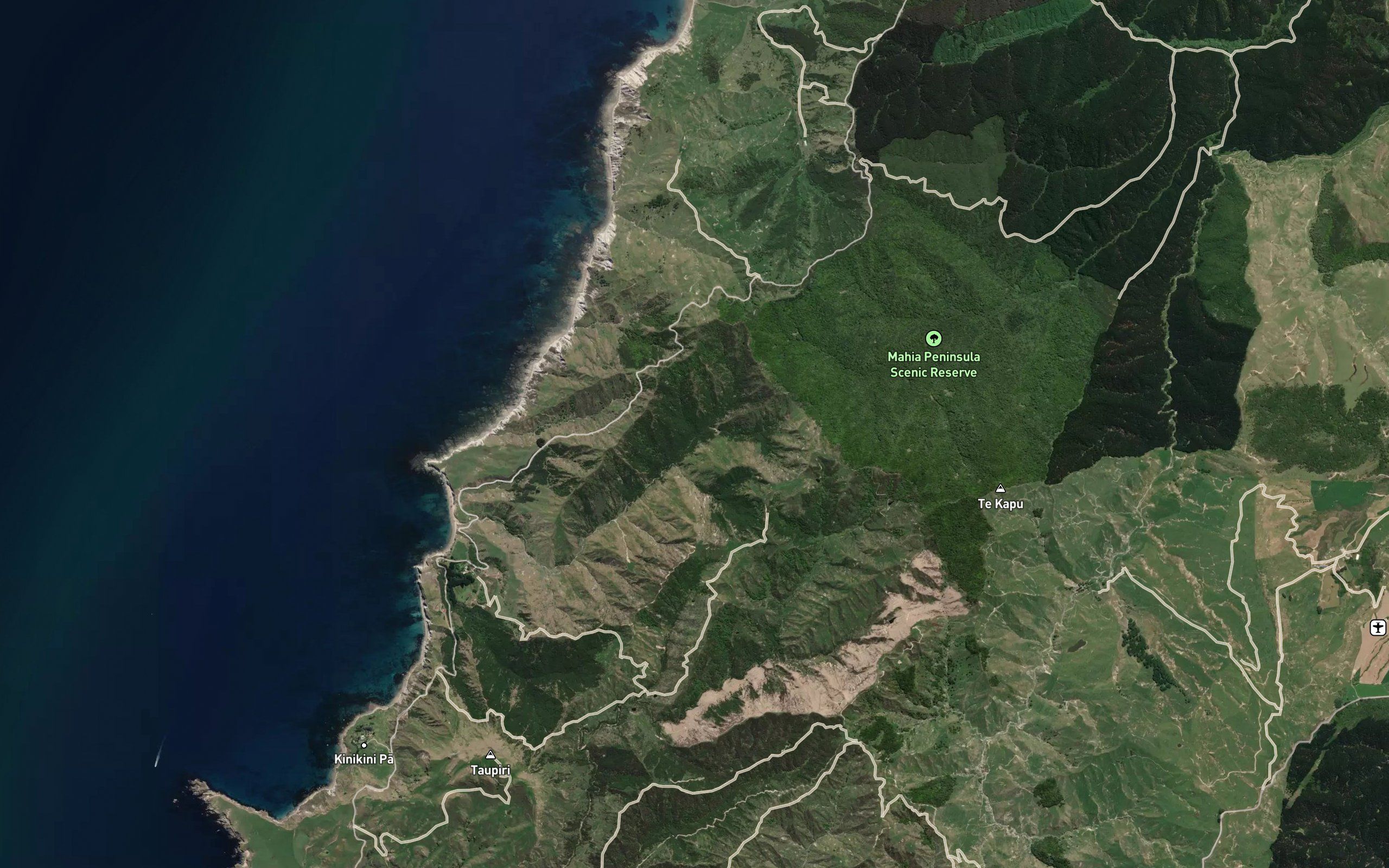 Ruatahuna Stream