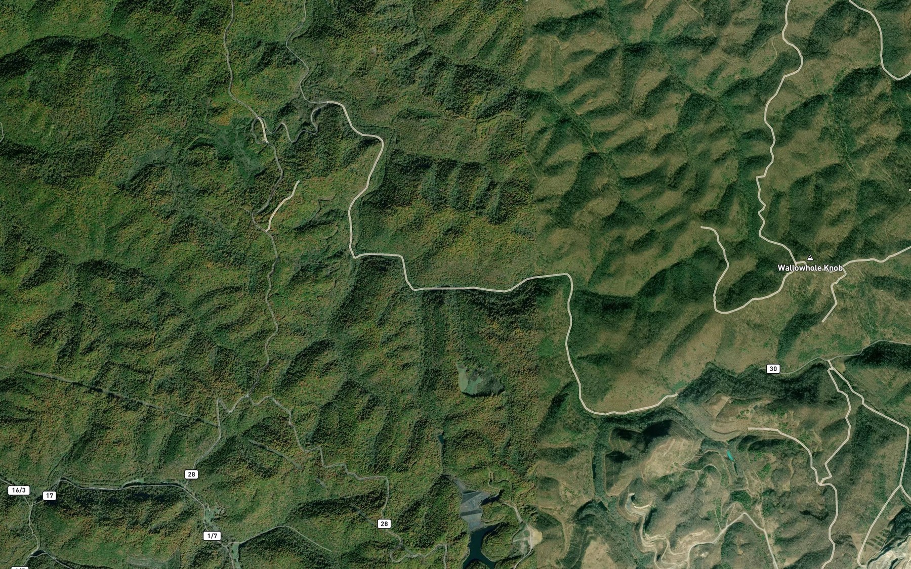 Satellite map of the Webb Branch
