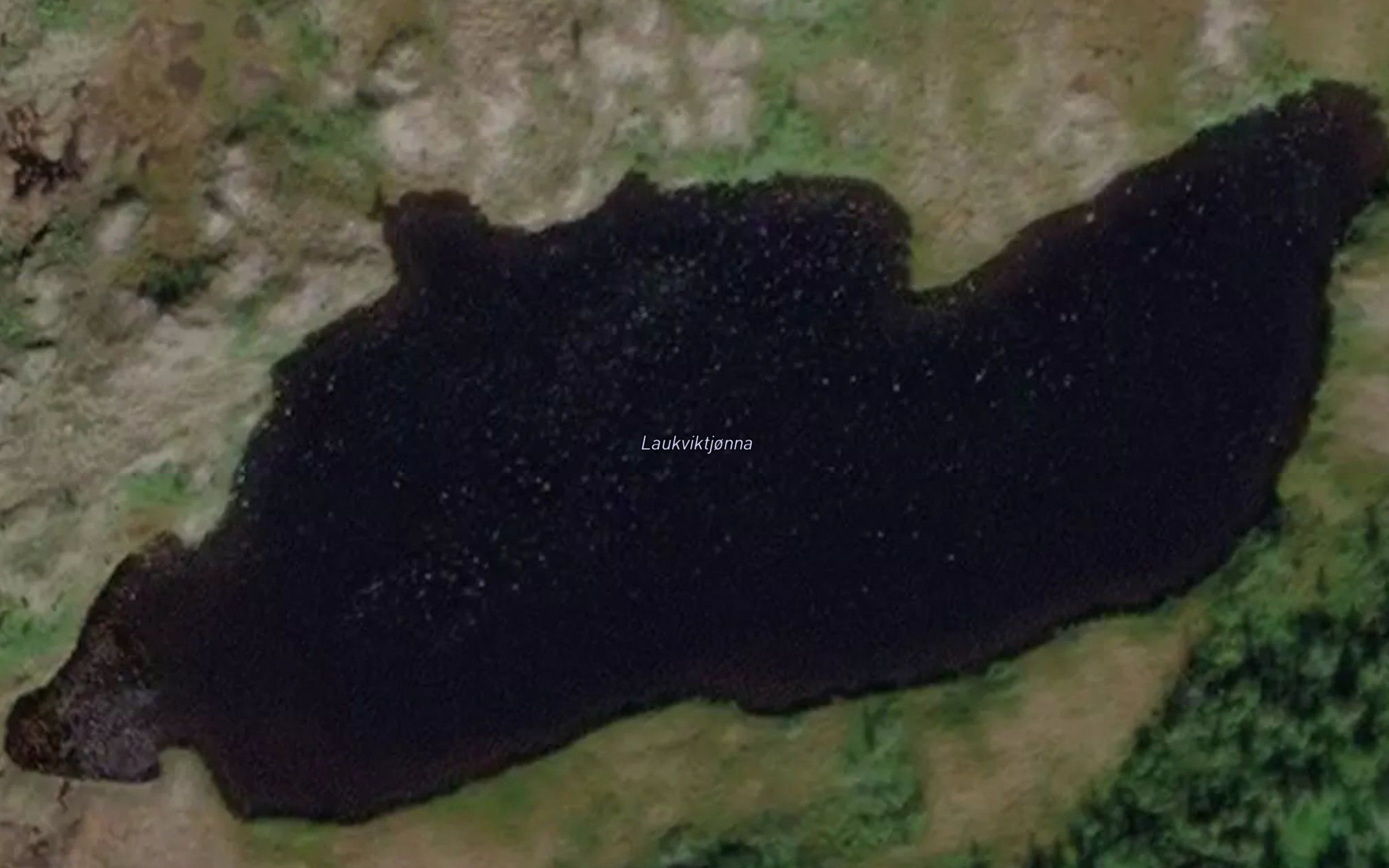 Laukviktjonna