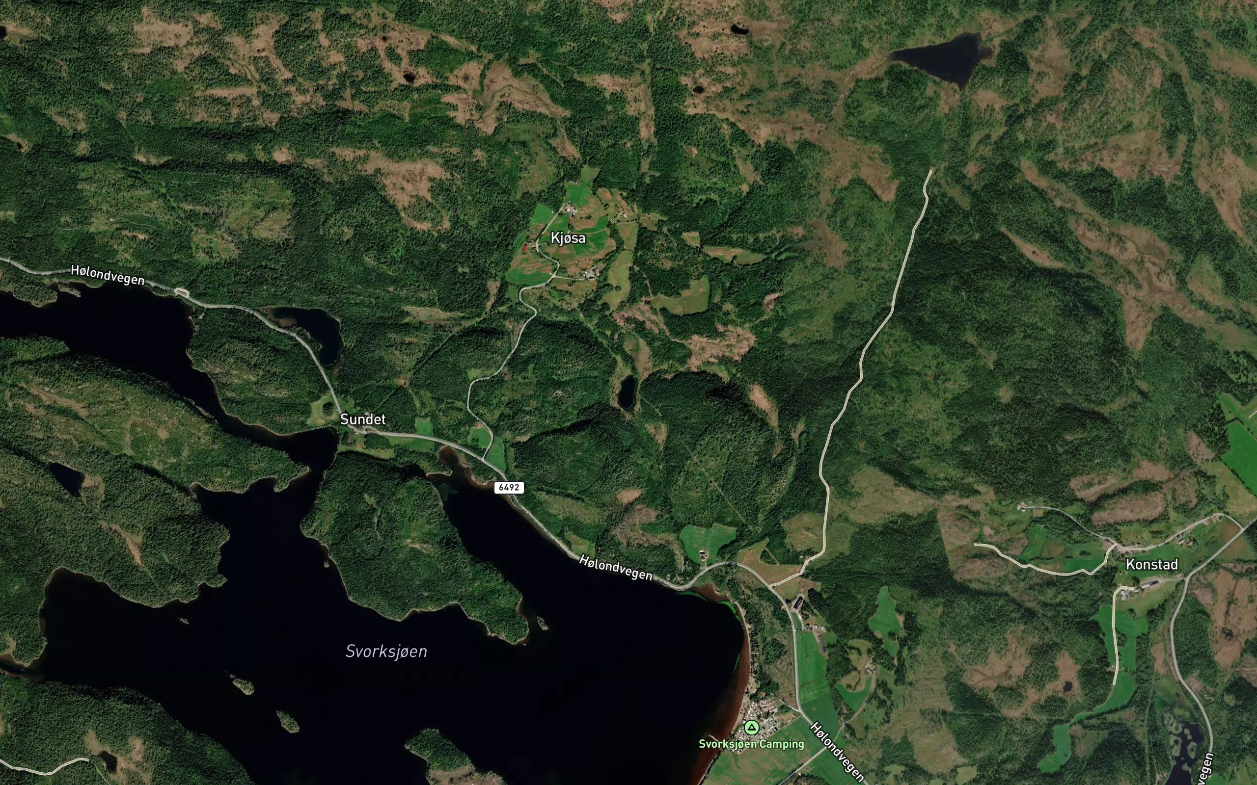 Skitjorna